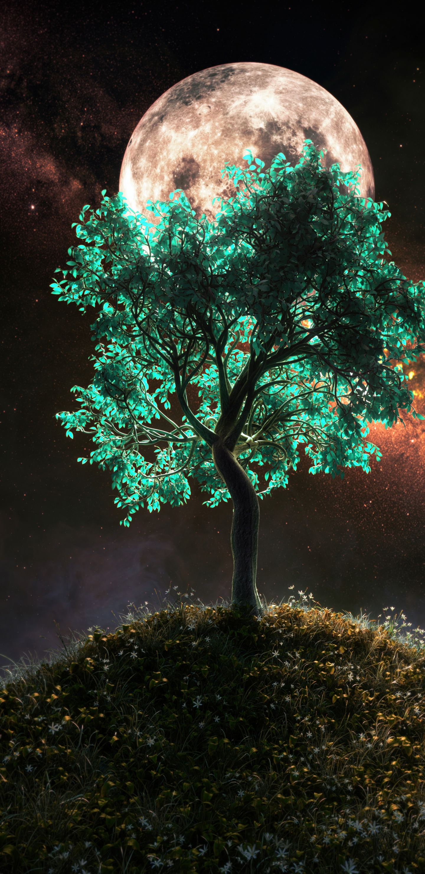 Baum, Smartphone, Atmosphäre, Licht, Botanik. Wallpaper in 1440x2960 Resolution