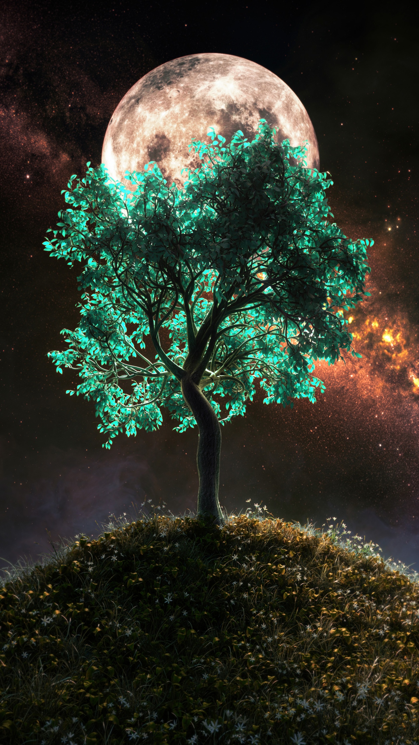 Tree, Smartphone, Atmosphere, World, Light. Wallpaper in 1440x2560 Resolution