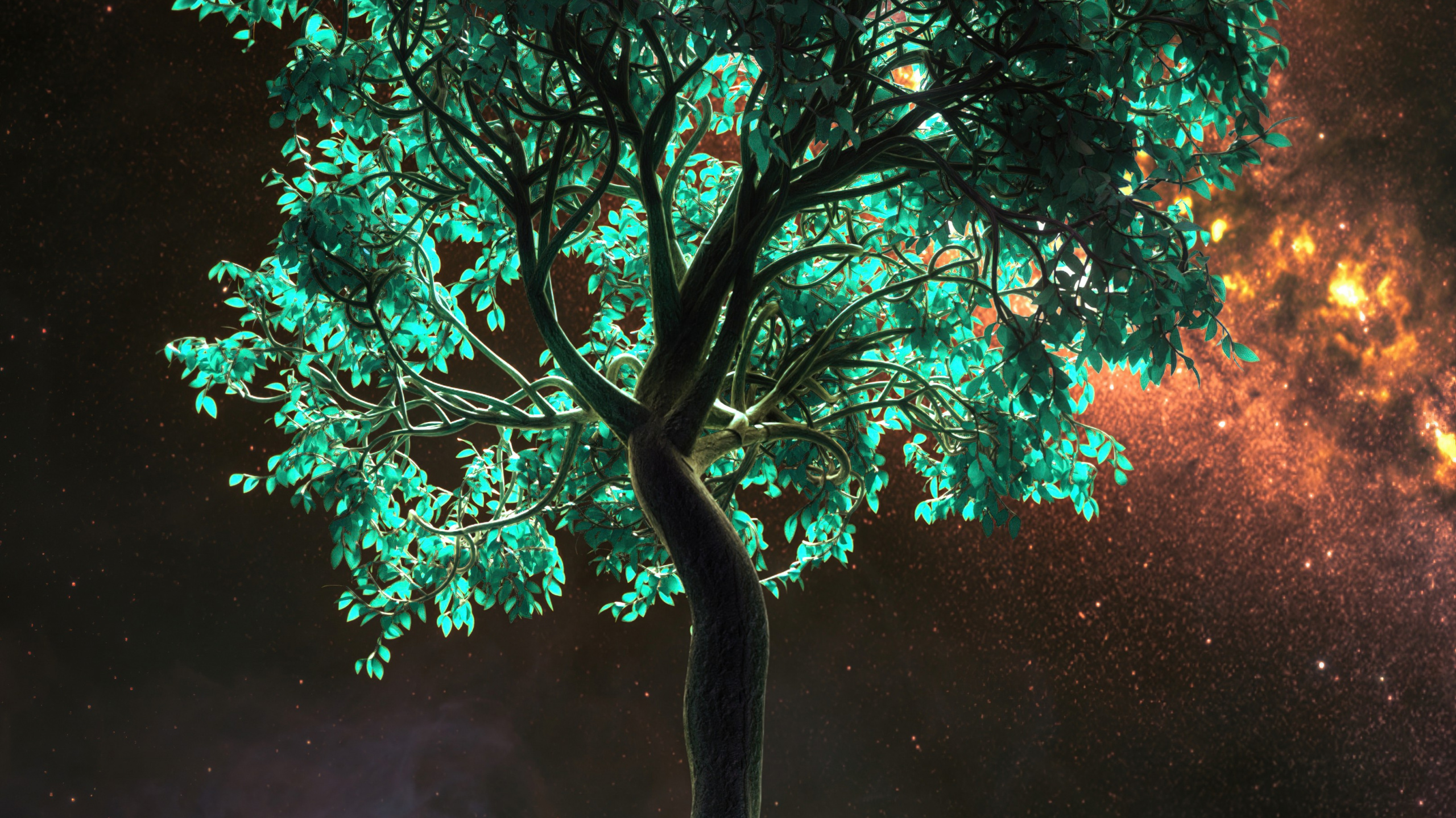 Tree, Smartphone, Atmosphere, World, Light. Wallpaper in 2560x1440 Resolution