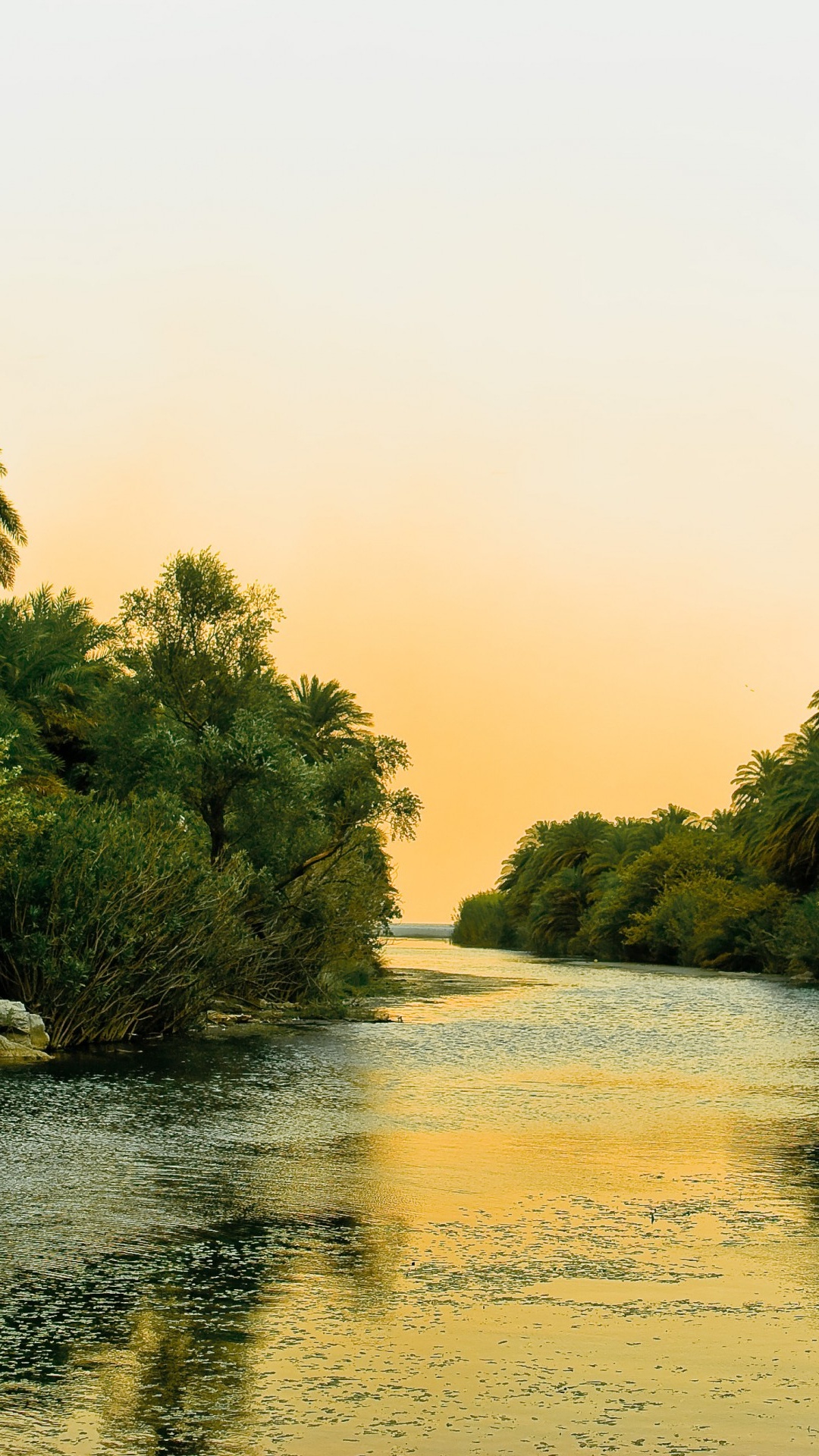 Green Trees Beside Body of Water During Daytime. Wallpaper in 1080x1920 Resolution
