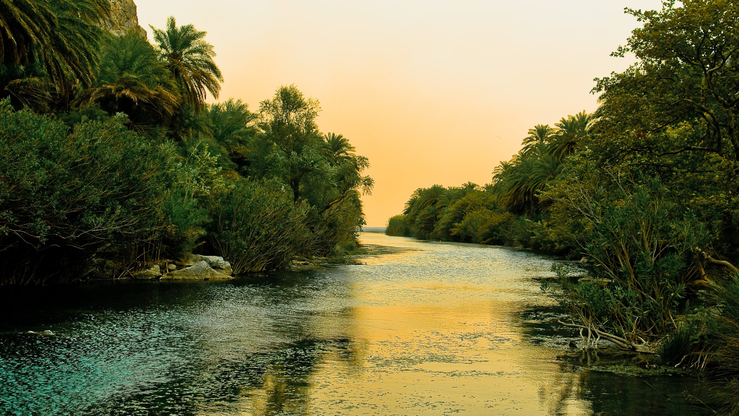 Green Trees Beside Body of Water During Daytime. Wallpaper in 2560x1440 Resolution