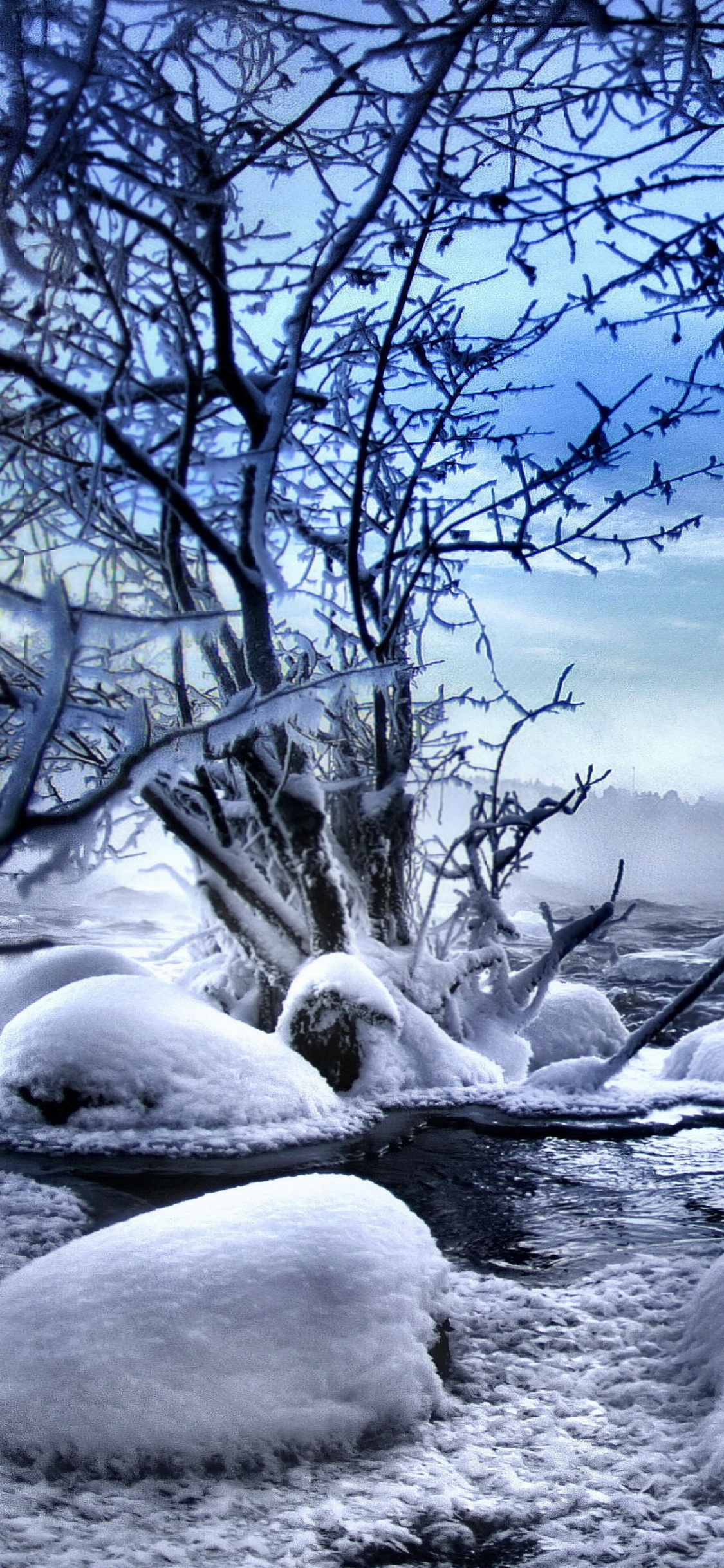 Árbol Desnudo Cubierto de Nieve en el Suelo Cubierto de Nieve Bajo un Cielo Azul Durante el Día. Wallpaper in 1125x2436 Resolution