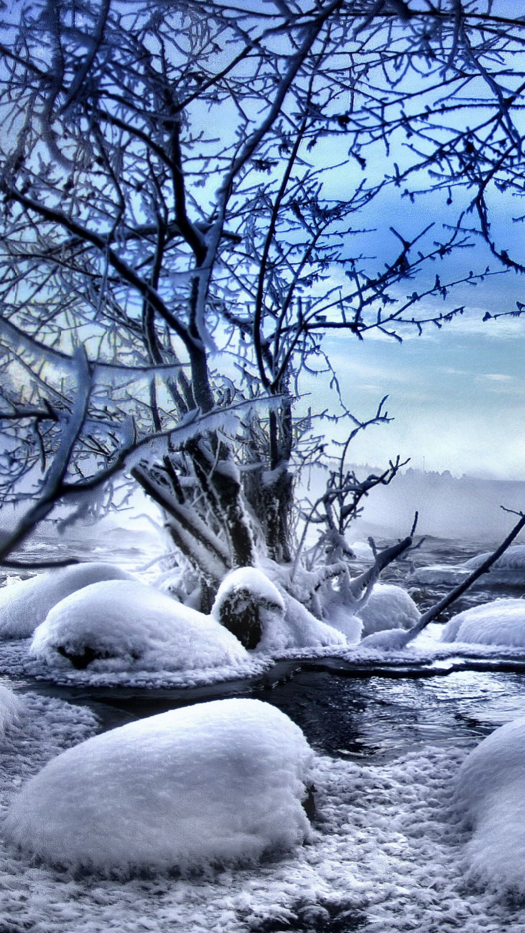 Arbre nu Couvert de Neige Sur le Sol Couvert de Neige Sous Ciel Bleu Pendant la Journée. Wallpaper in 1080x1920 Resolution