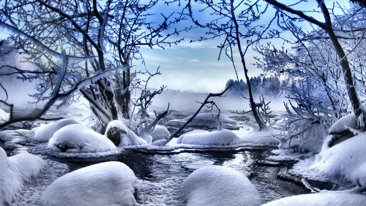 Arbre nu Couvert de Neige Sur le Sol Couvert de Neige Sous Ciel Bleu Pendant la Journée. Wallpaper in 1280x720 Resolution