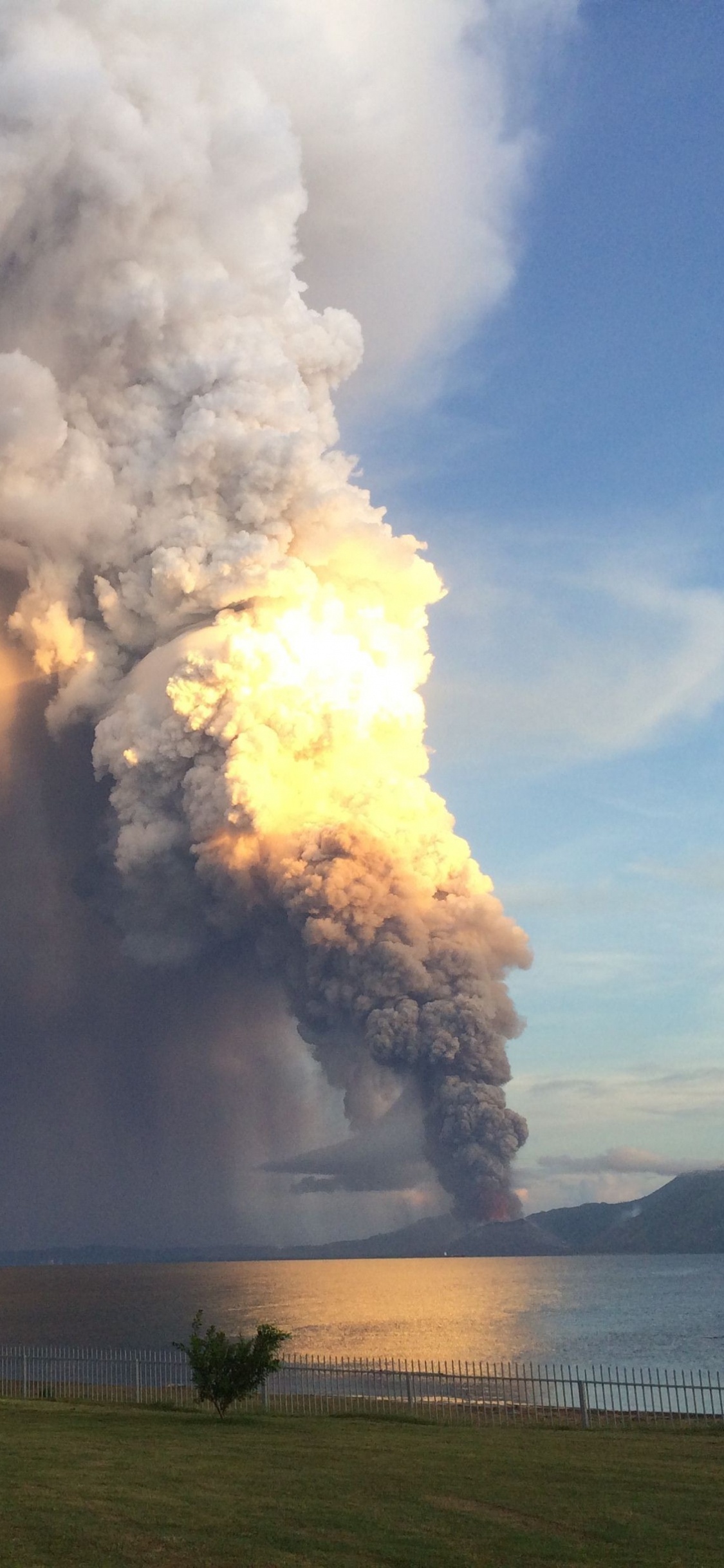 Palmier Vert Près de la Mer Sous Des Nuages Blancs et un Ciel Bleu Pendant la Journée. Wallpaper in 1125x2436 Resolution