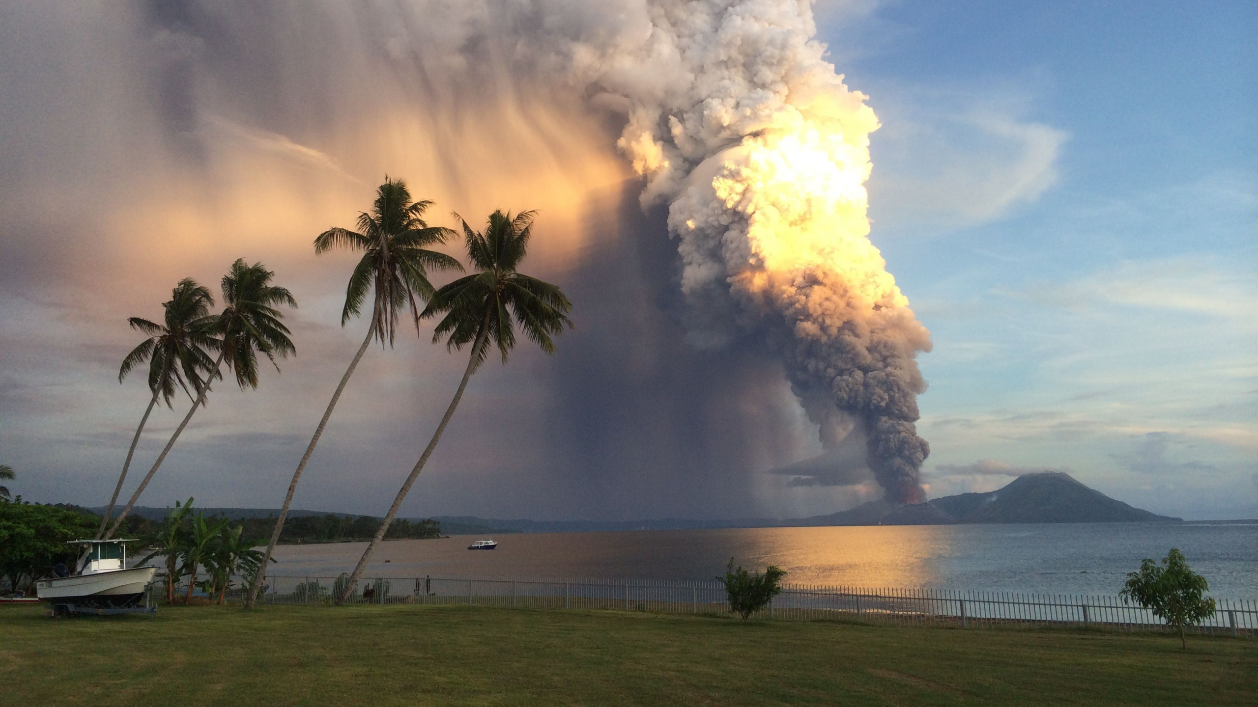 Palmier Vert Près de la Mer Sous Des Nuages Blancs et un Ciel Bleu Pendant la Journée. Wallpaper in 2560x1440 Resolution