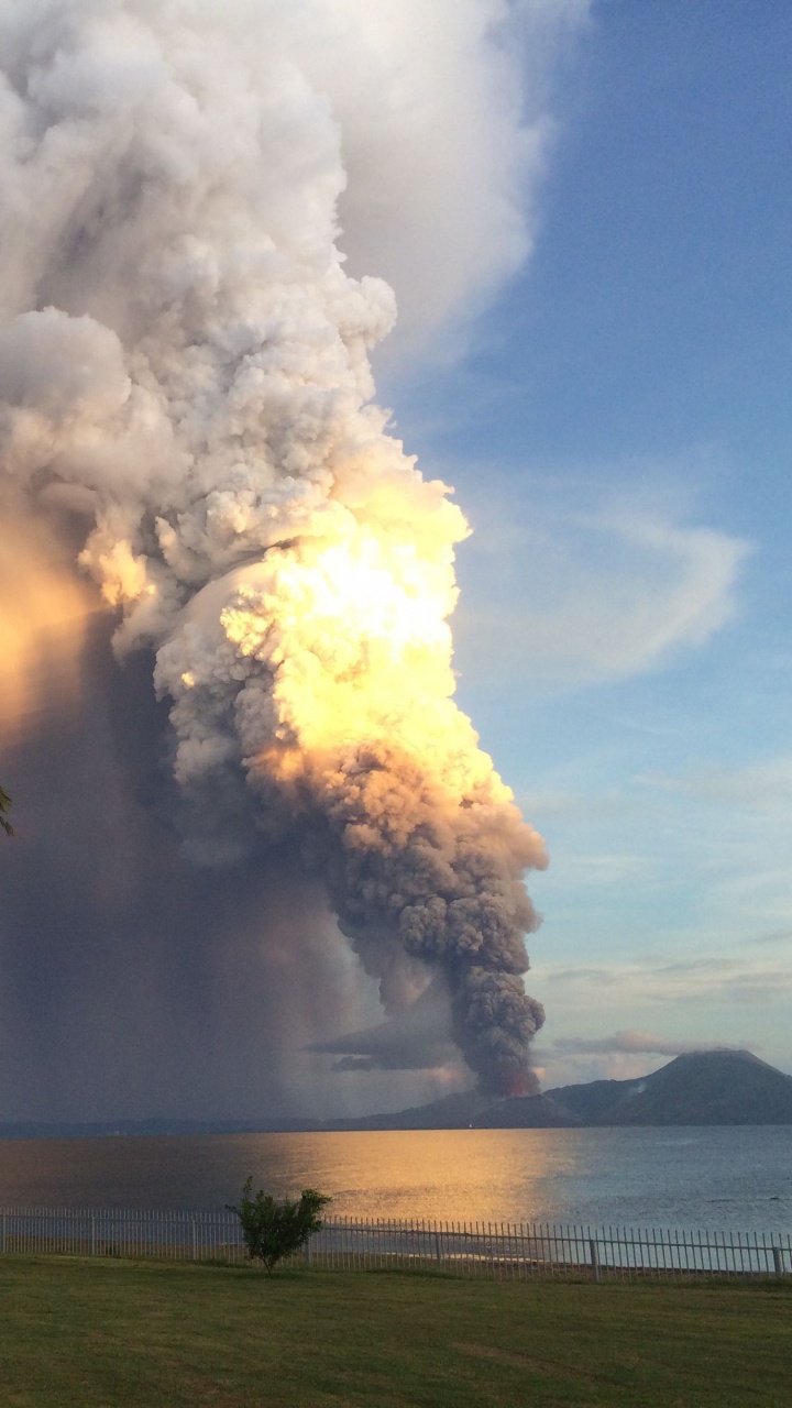 Palmier Vert Près de la Mer Sous Des Nuages Blancs et un Ciel Bleu Pendant la Journée. Wallpaper in 720x1280 Resolution