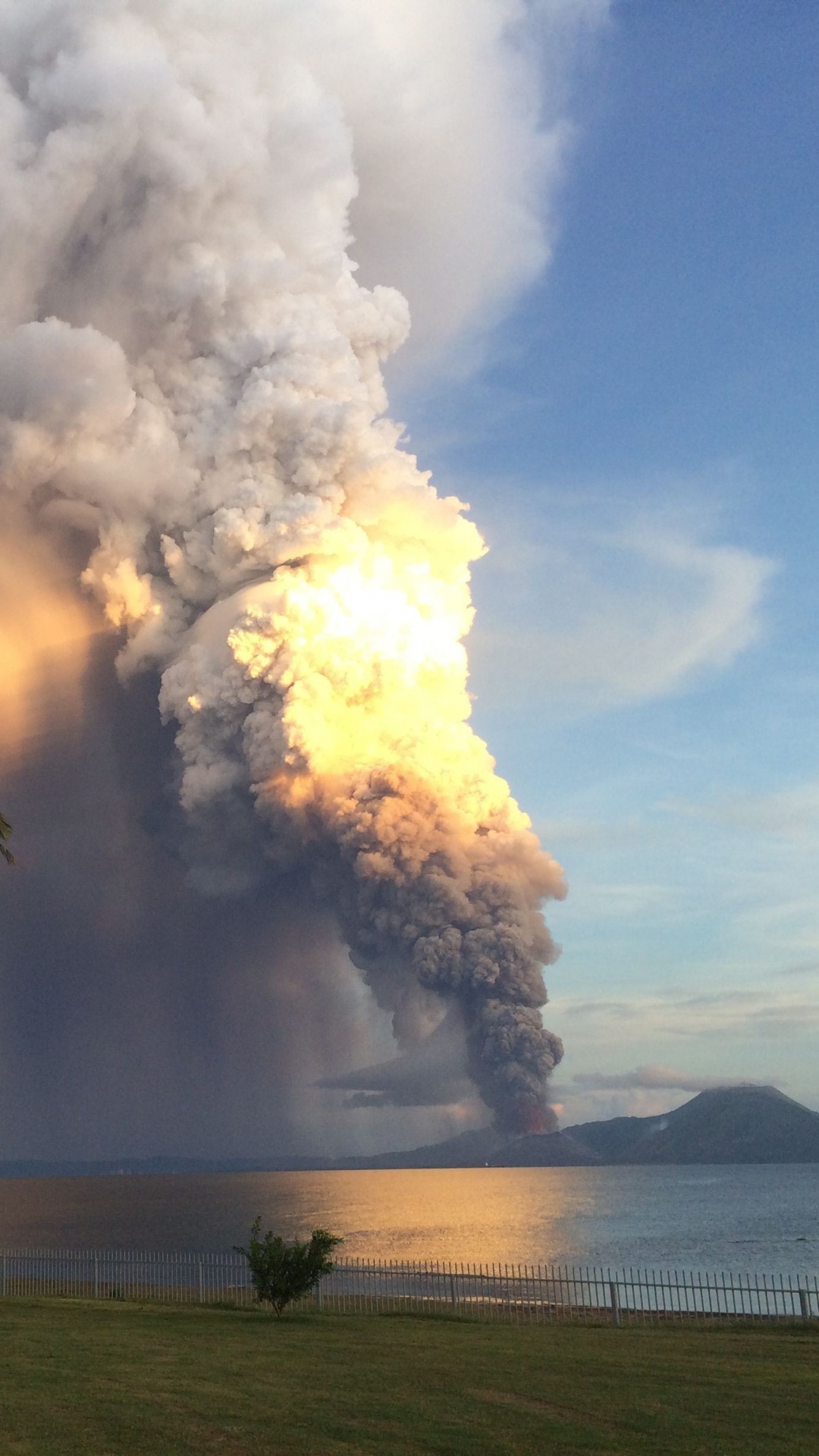 Green Palm Tree Near Sea Under White Clouds and Blue Sky During Daytime. Wallpaper in 1080x1920 Resolution