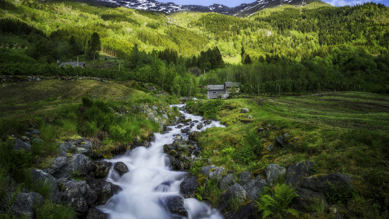 Green Grass Field and Green Trees Near Mountain During Daytime. Wallpaper in 1366x768 Resolution