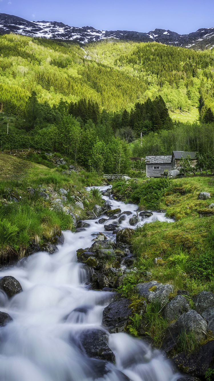 Grüne Wiese Und Grüne Bäume in Der Nähe Des Berges Tagsüber. Wallpaper in 750x1334 Resolution