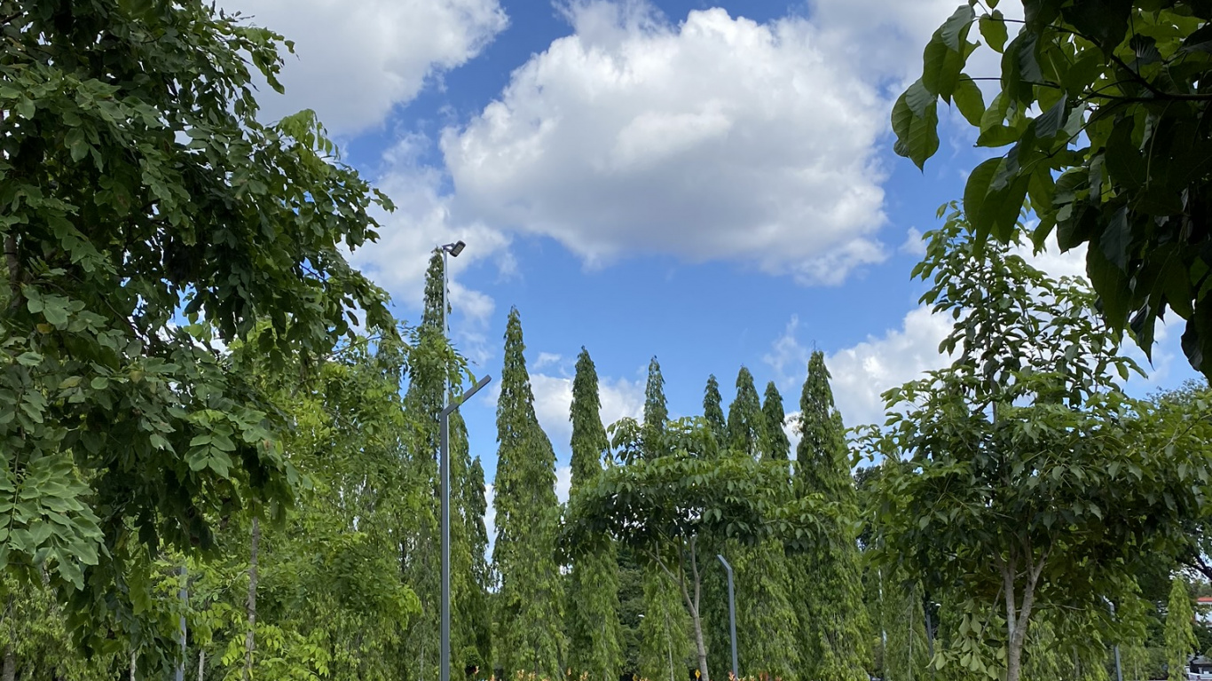 Natur, Vegetation, Biome, Staude, Garden. Wallpaper in 1366x768 Resolution