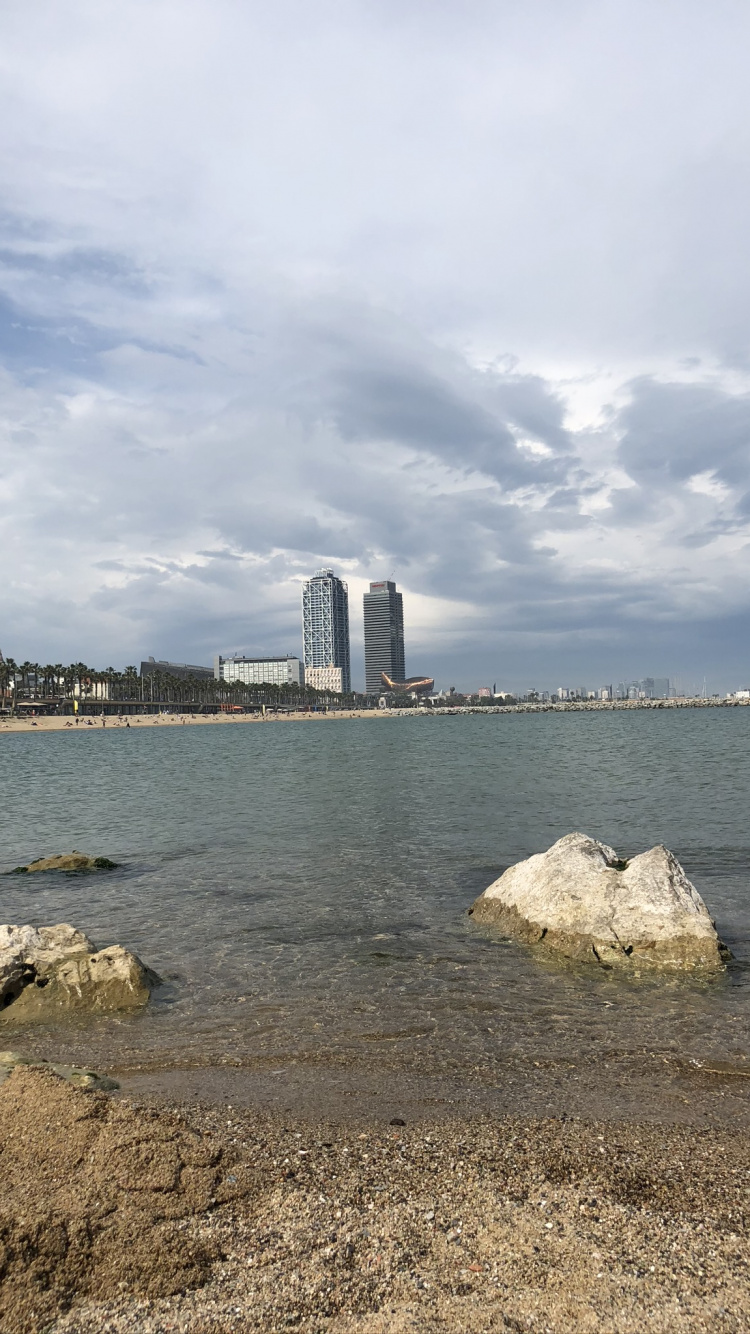 大海, 人体内的水, 岸边, 流体, 海岸 壁纸 750x1334 允许