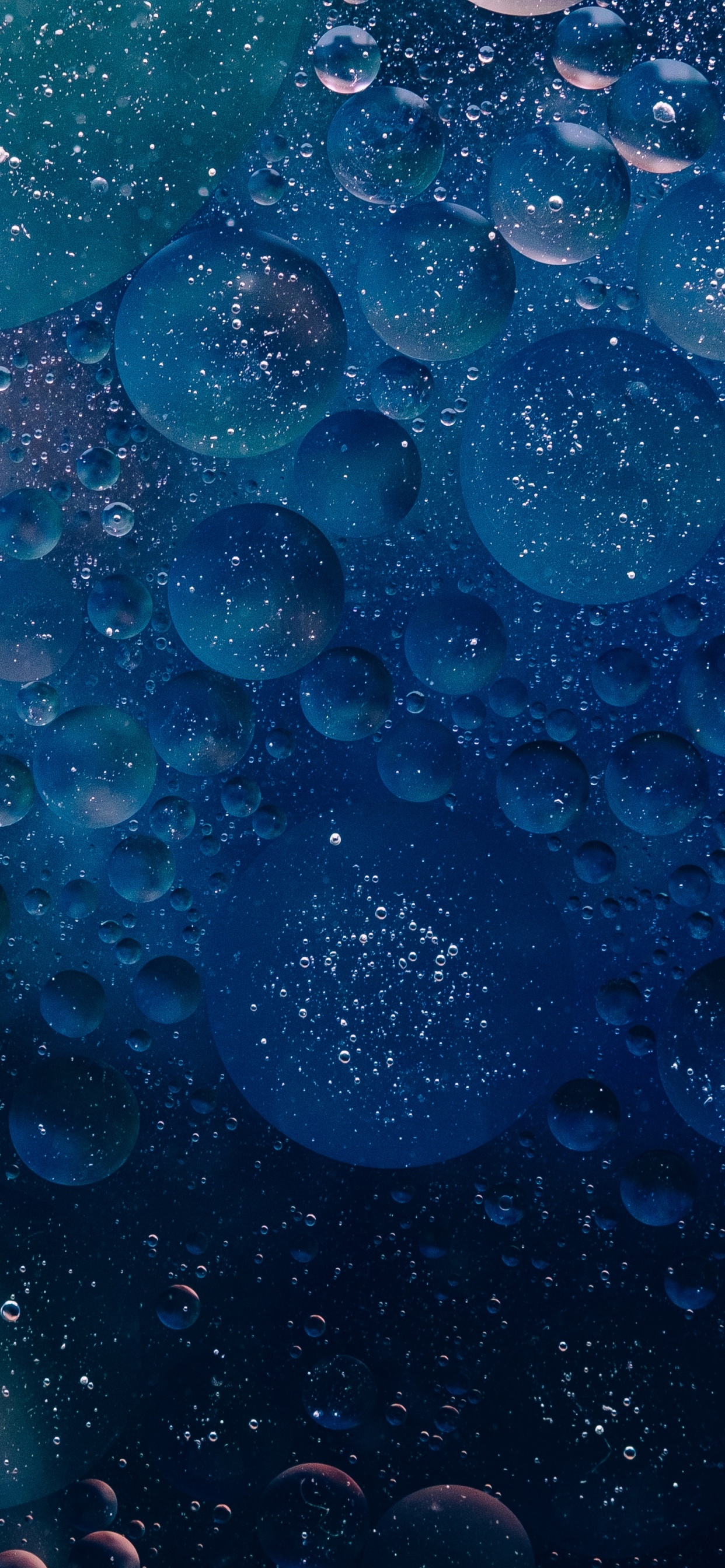 Water Droplets on Glass Panel. Wallpaper in 1242x2688 Resolution