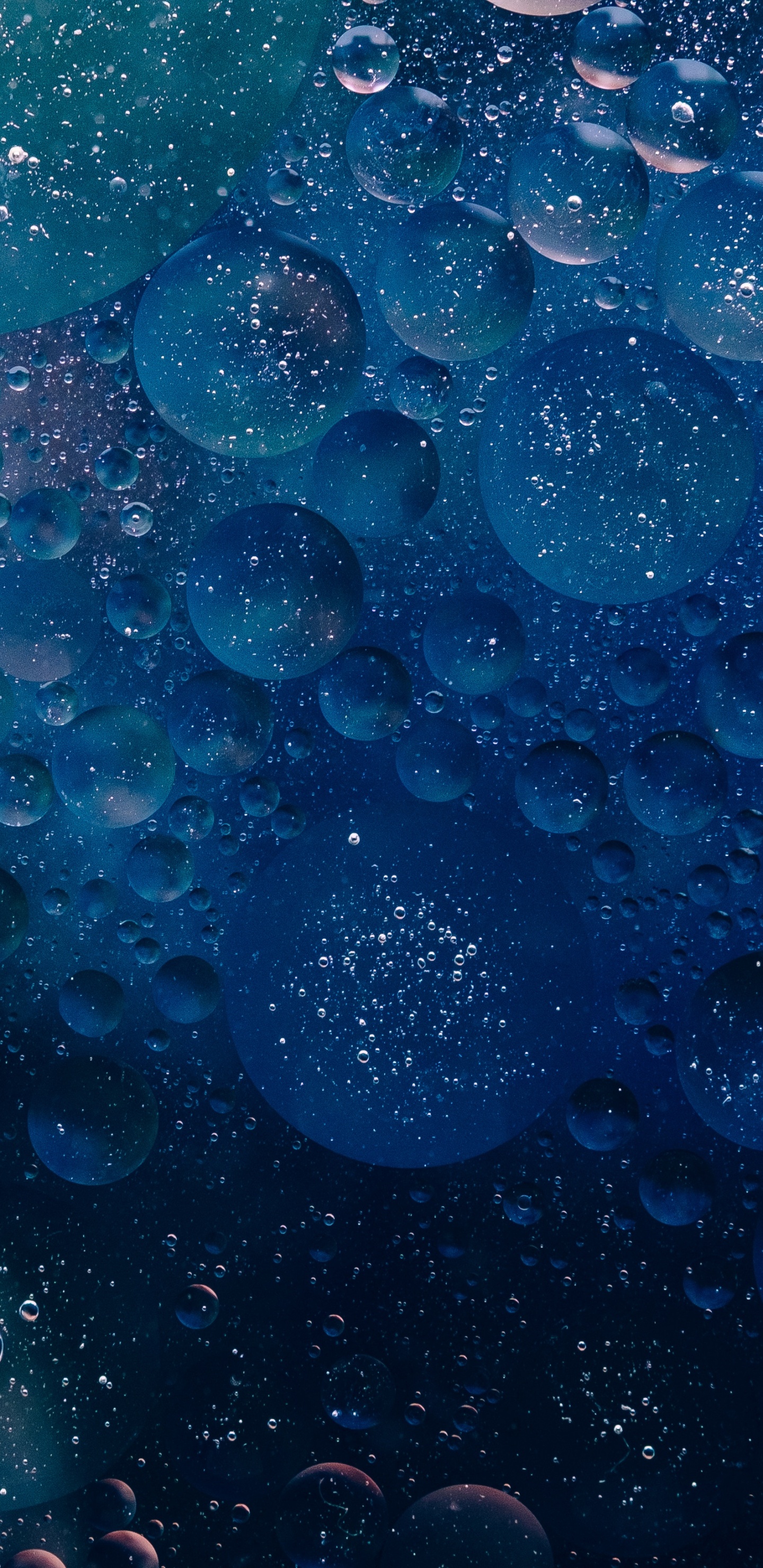 Water Droplets on Glass Panel. Wallpaper in 1440x2960 Resolution