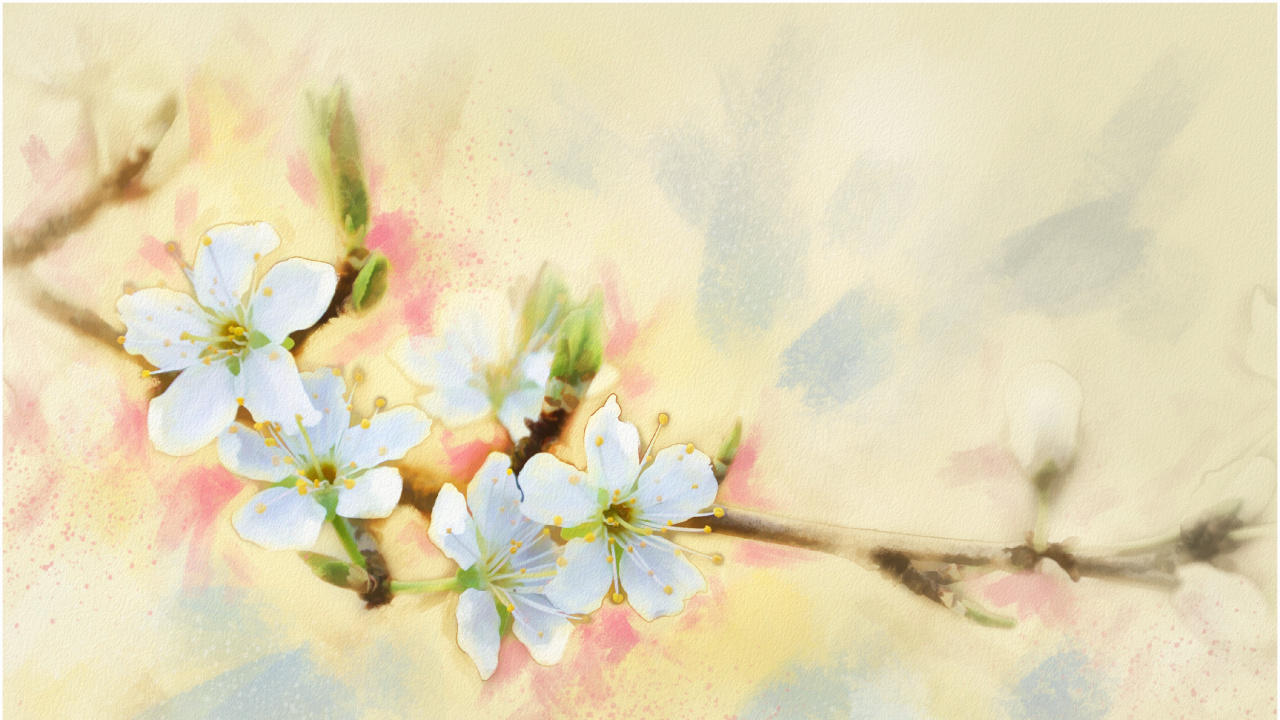 Malerei Mit Weißen Und Lila Blumen. Wallpaper in 1280x720 Resolution