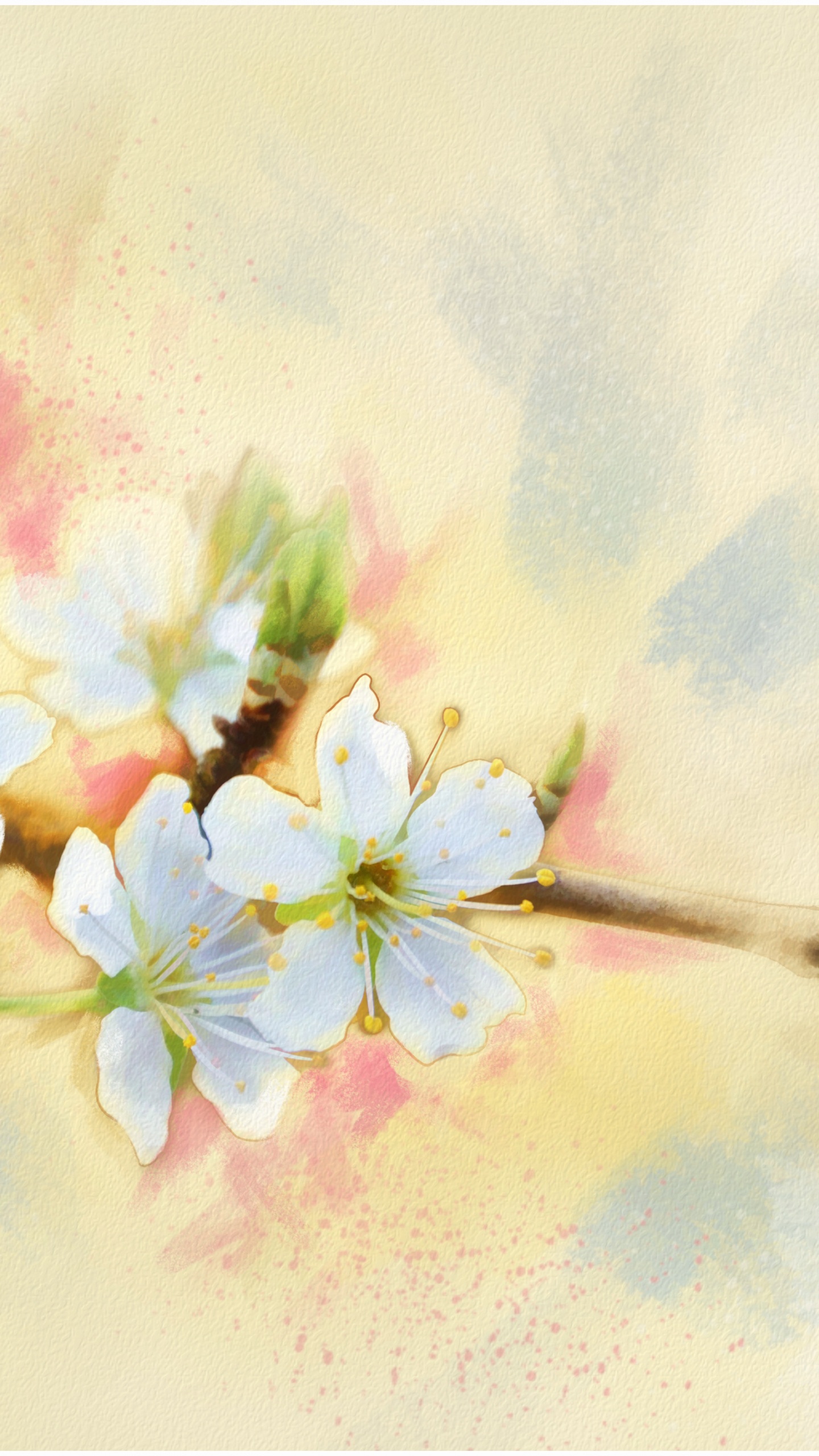 White and Purple Flowers Painting. Wallpaper in 1440x2560 Resolution