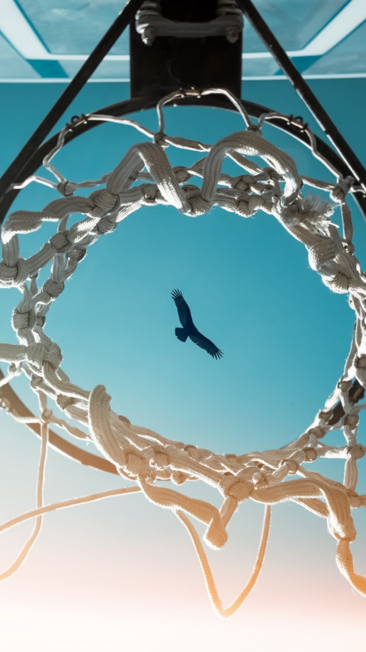 Aro de Baloncesto Blanco y Negro. Wallpaper in 750x1334 Resolution