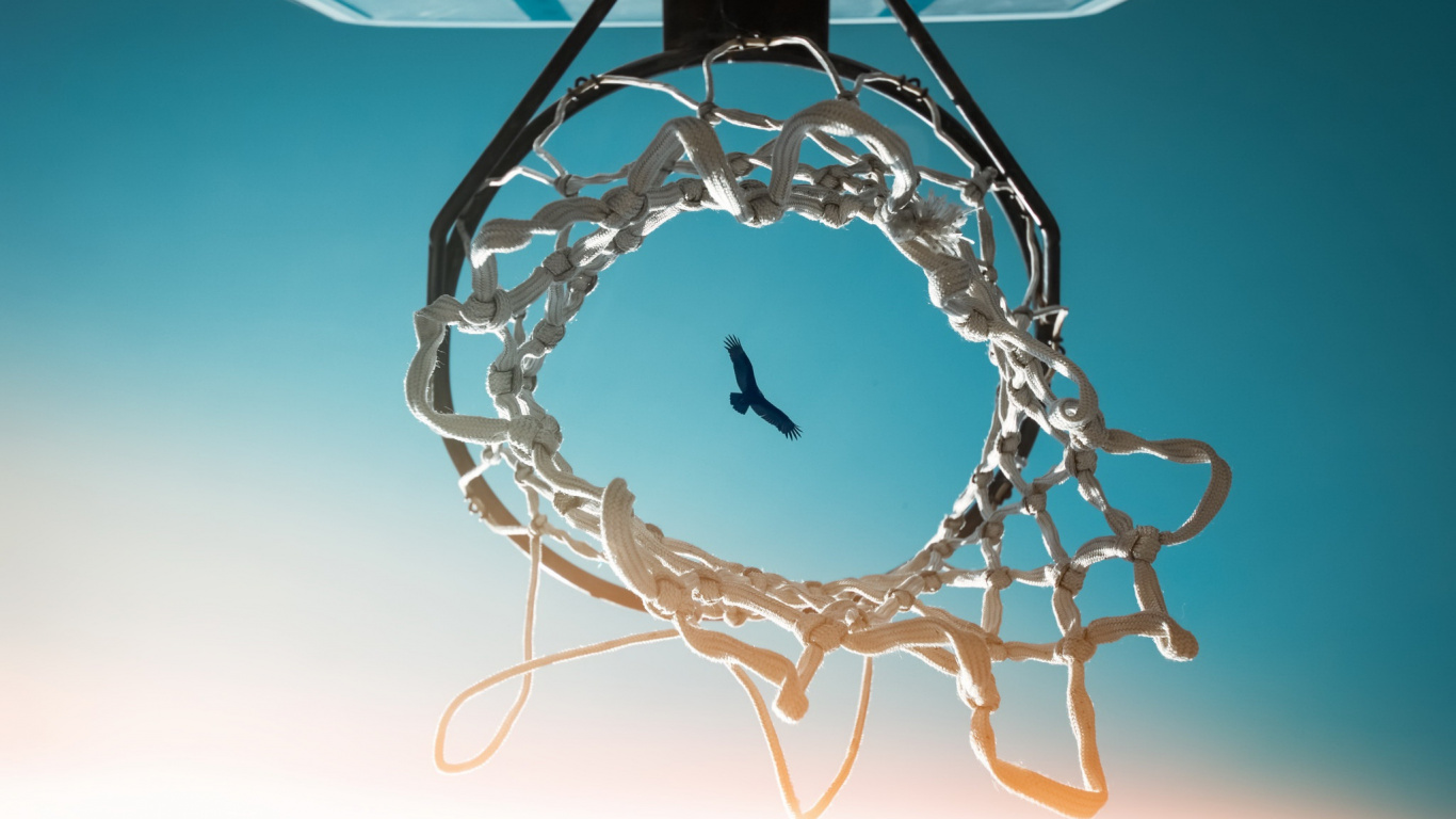 Panier de Basket Noir et Blanc. Wallpaper in 1366x768 Resolution