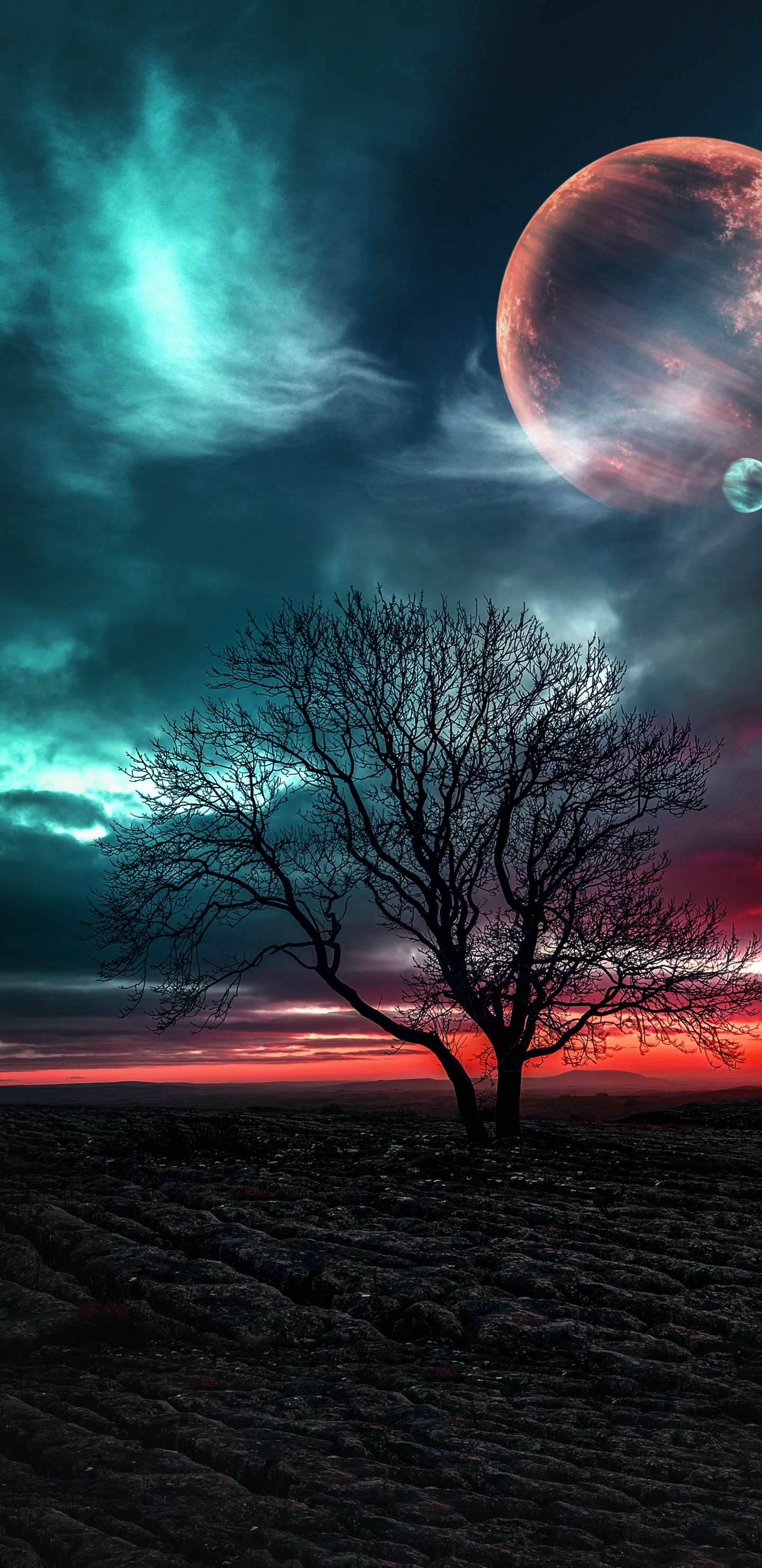 Natur, Cloud, Atmosphäre, Tageszeit, Ökoregion. Wallpaper in 1440x2960 Resolution