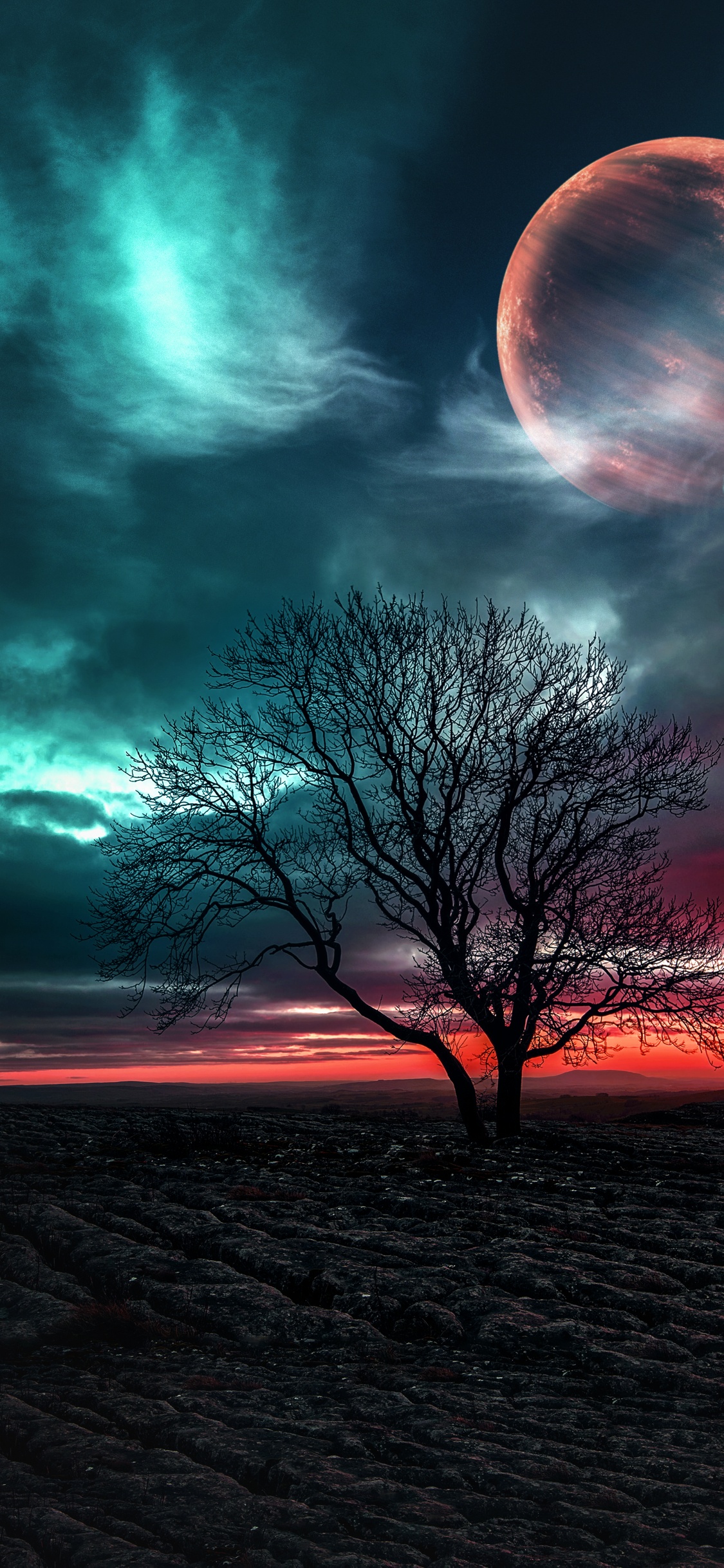 Naturaleza, Ambiente, Ecorregión, Luz, Paisaje Natural. Wallpaper in 1125x2436 Resolution