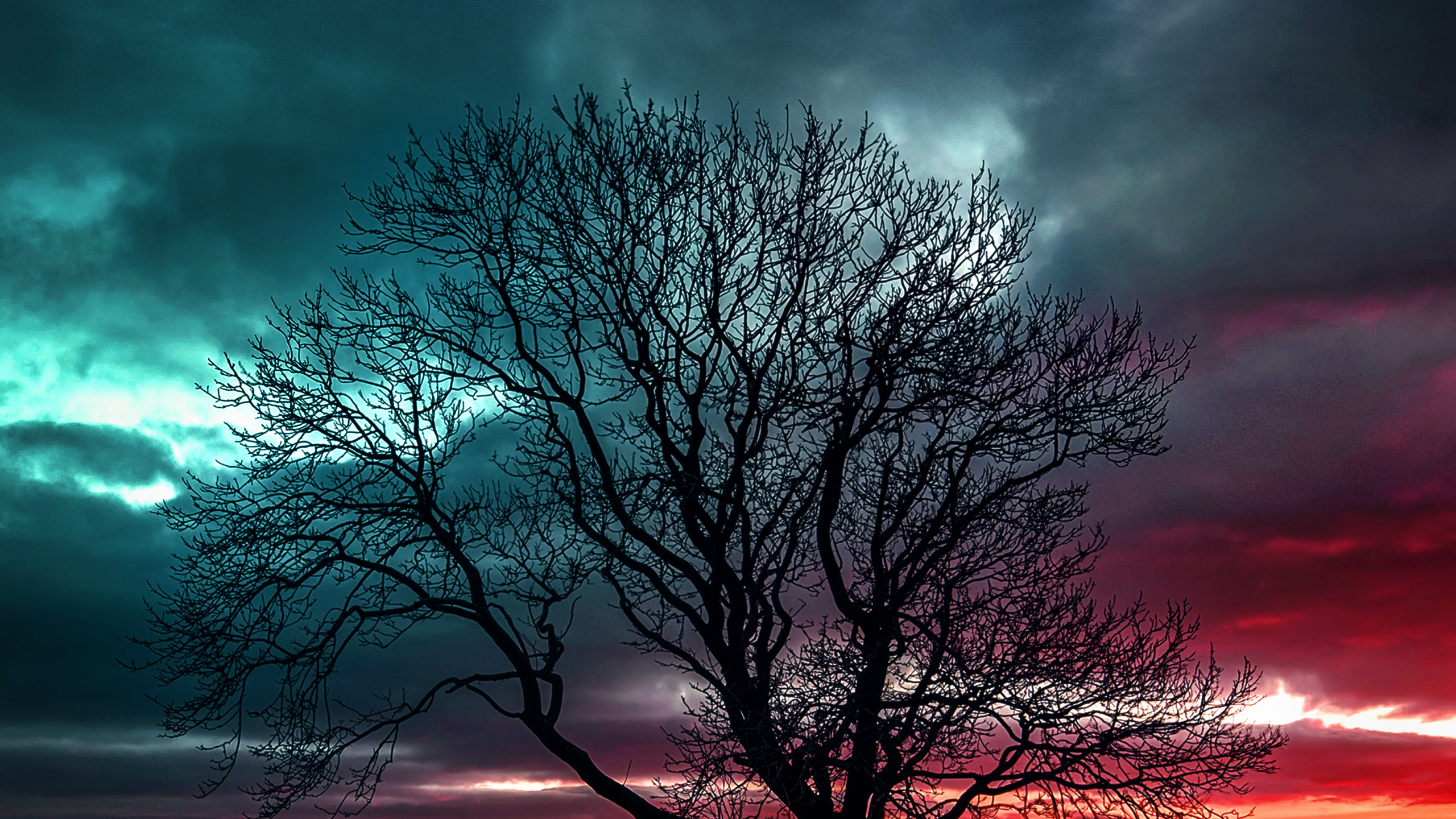 Nature, Cloud, Atmosphere, Daytime, Ecoregion. Wallpaper in 2560x1440 Resolution