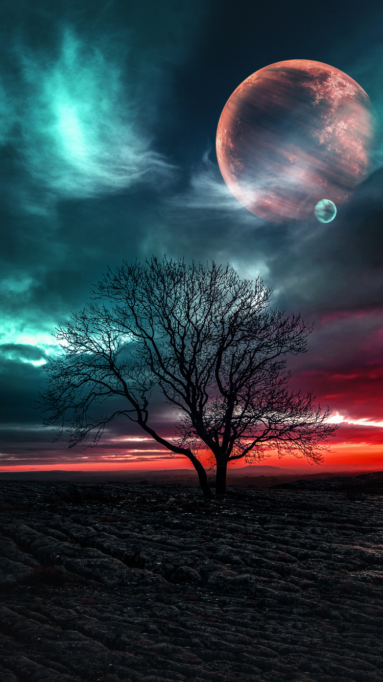 Nature, Cloud, Atmosphere, Daytime, Ecoregion. Wallpaper in 750x1334 Resolution