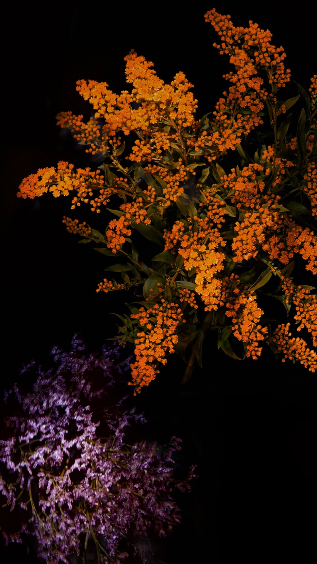 Apple, IOS 10, IPhone, Äpfeln, IOS 9. Wallpaper in 1080x1920 Resolution