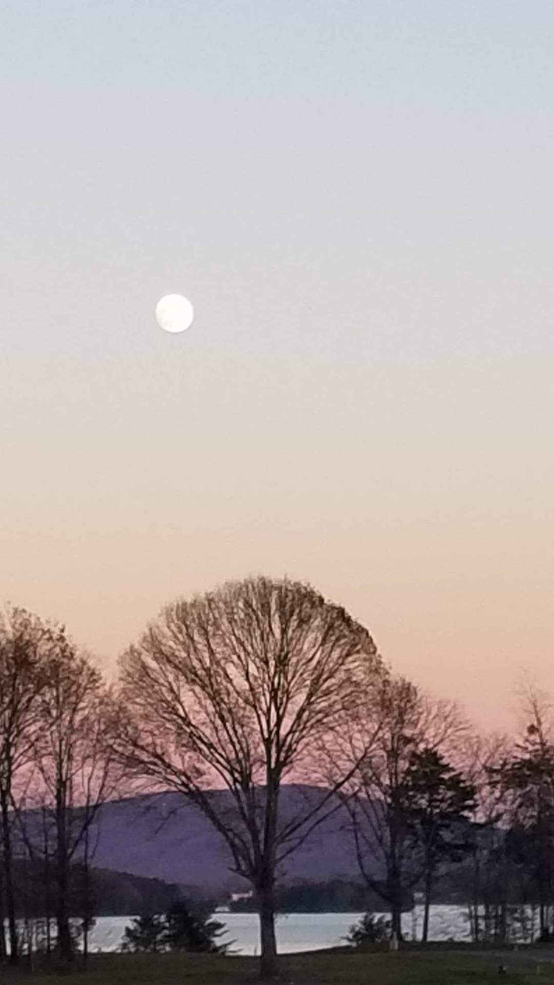 Mond, Smith Mountain Lake, Vollmond, Atmosphäre, Baum. Wallpaper in 1080x1920 Resolution