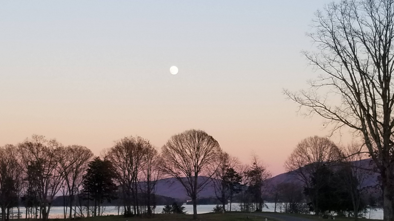 Mond, Smith Mountain Lake, Vollmond, Atmosphäre, Baum. Wallpaper in 1280x720 Resolution