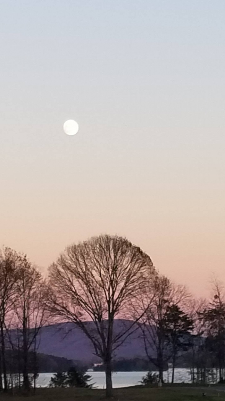 Mond, Smith Mountain Lake, Vollmond, Atmosphäre, Baum. Wallpaper in 720x1280 Resolution