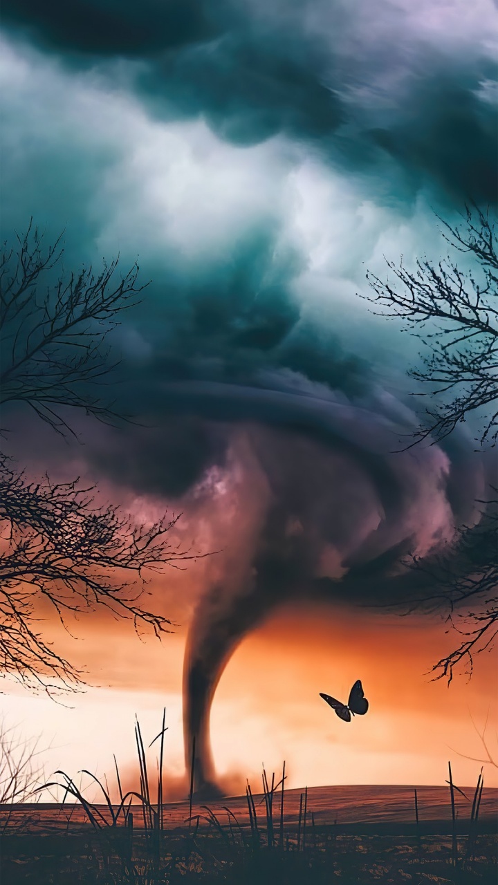 je Suis Venu, Âme de Cerise, Musique Amazon, ça va Devenir Sauvage, Atmosphère. Wallpaper in 720x1280 Resolution