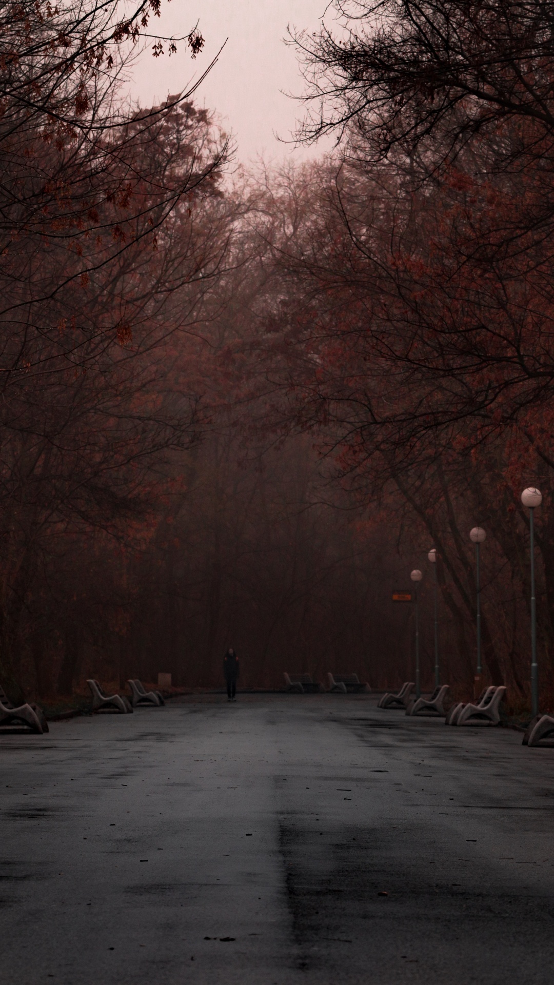 Gray Road Between Bare Trees During Daytime. Wallpaper in 1080x1920 Resolution