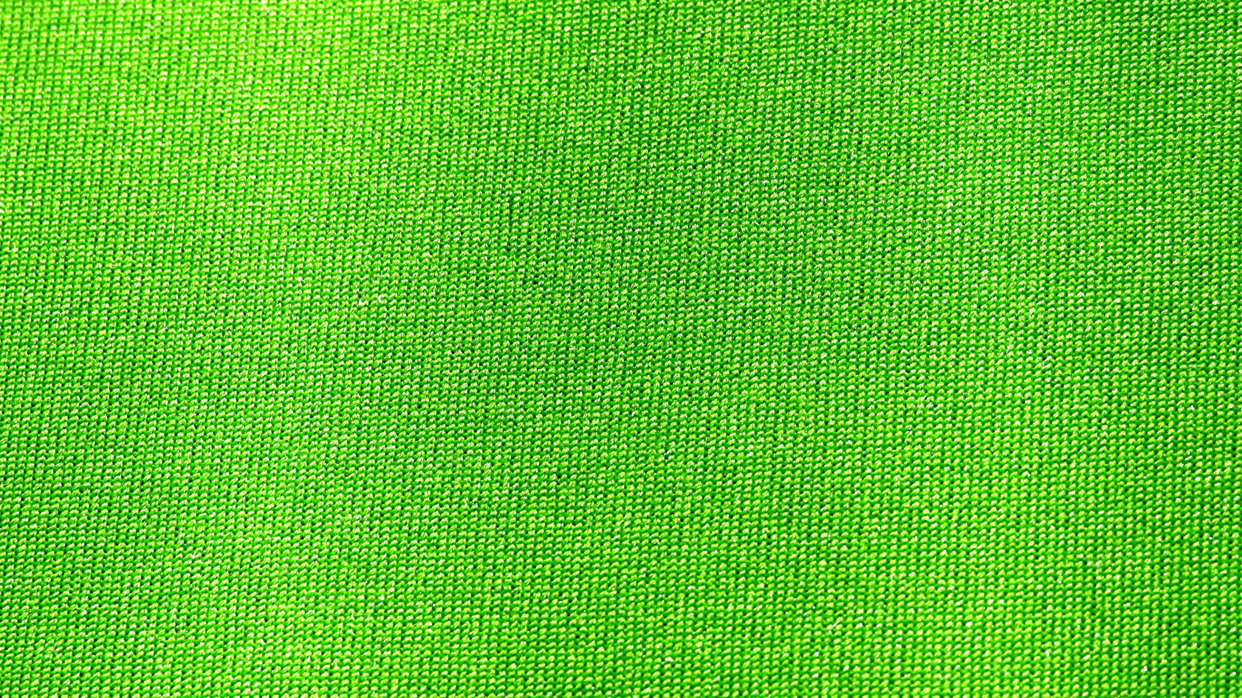 Green Textile in Close up Image. Wallpaper in 2560x1440 Resolution