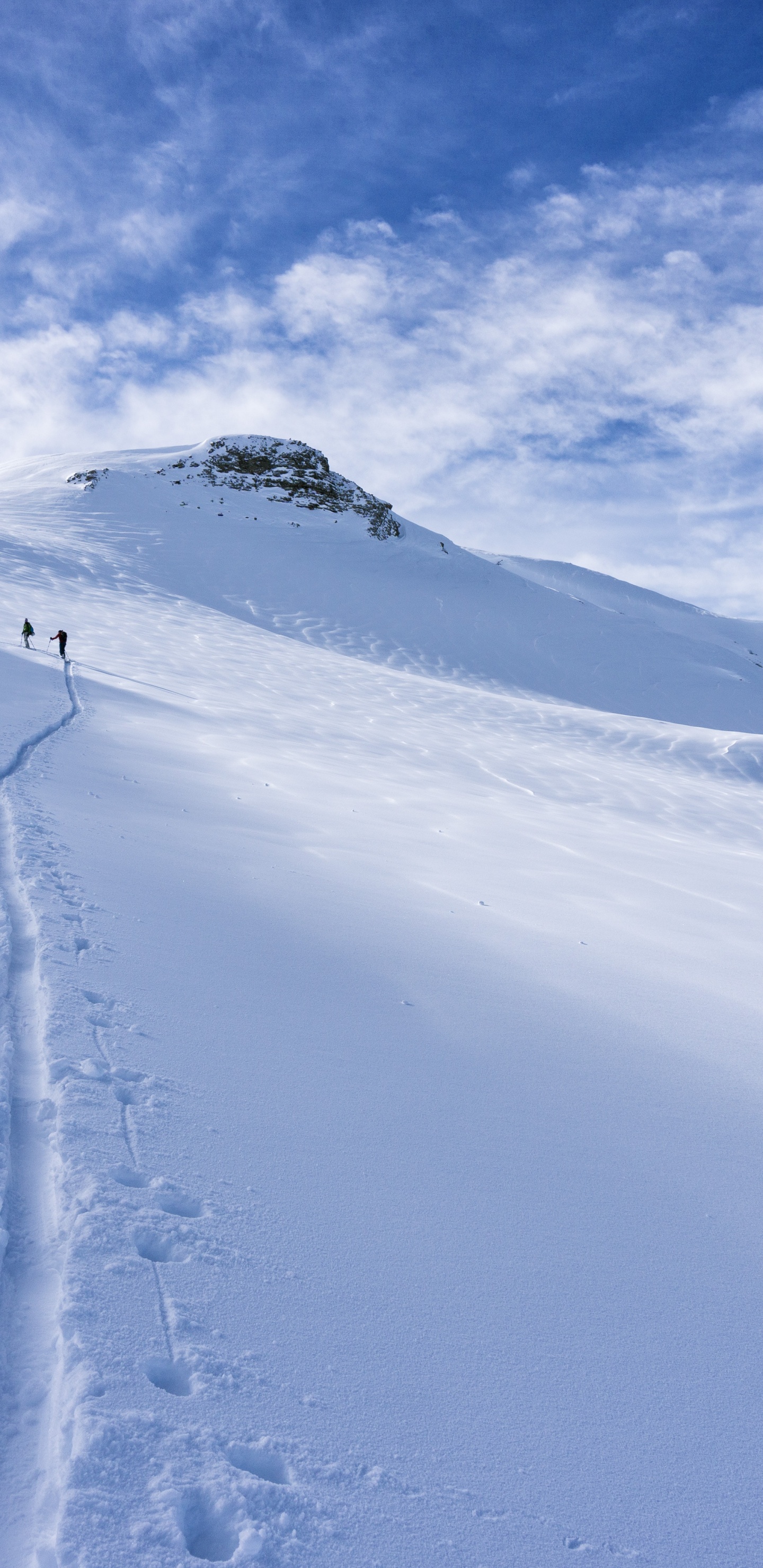 斜坡, 冰川地貌, 阿尔卑斯山, Nunatak, 滑雪道 壁纸 1440x2960 允许