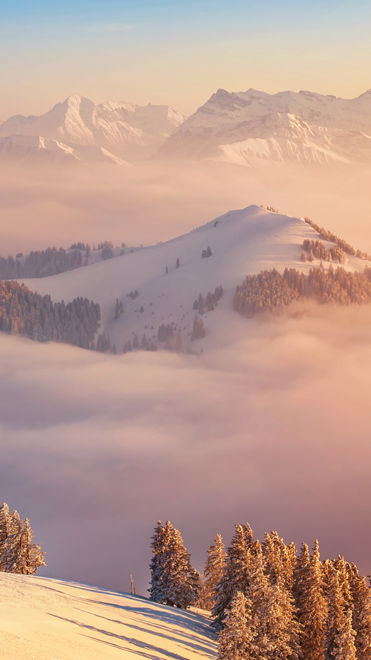 Alps, Mountain, Light, Landscape, Tree. Wallpaper in 750x1334 Resolution