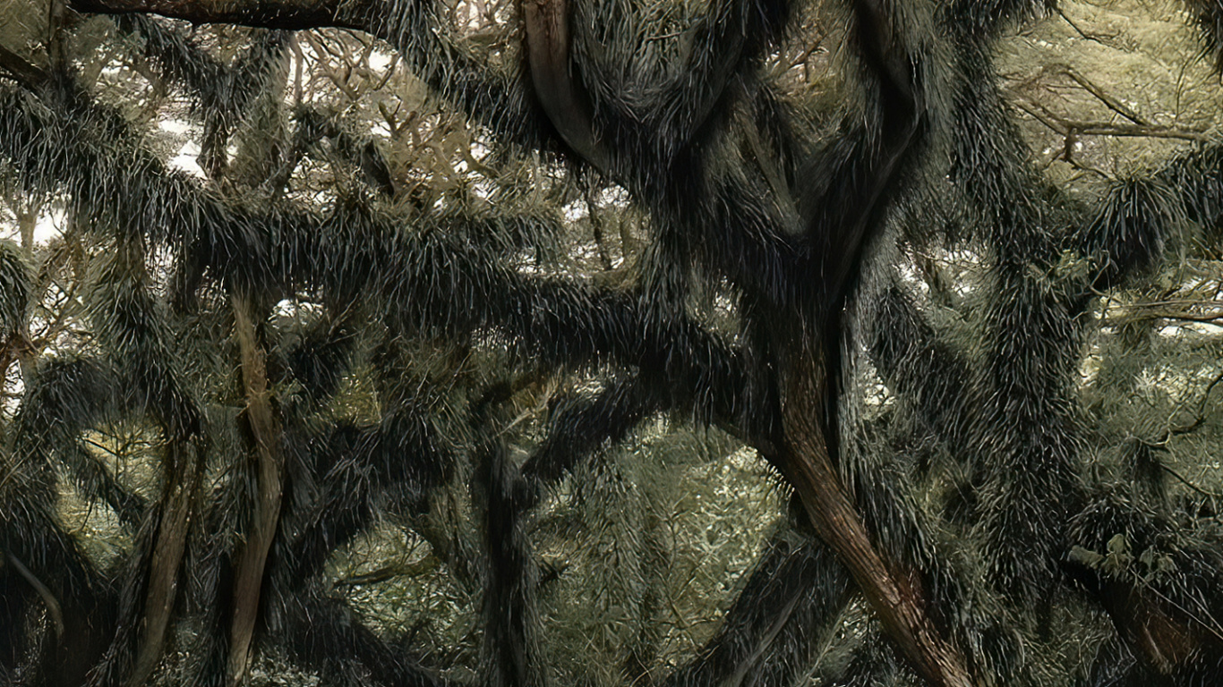 Voiture Compacte, Paysage Naturel, Rameau, Plante Terrestre. Wallpaper in 1366x768 Resolution