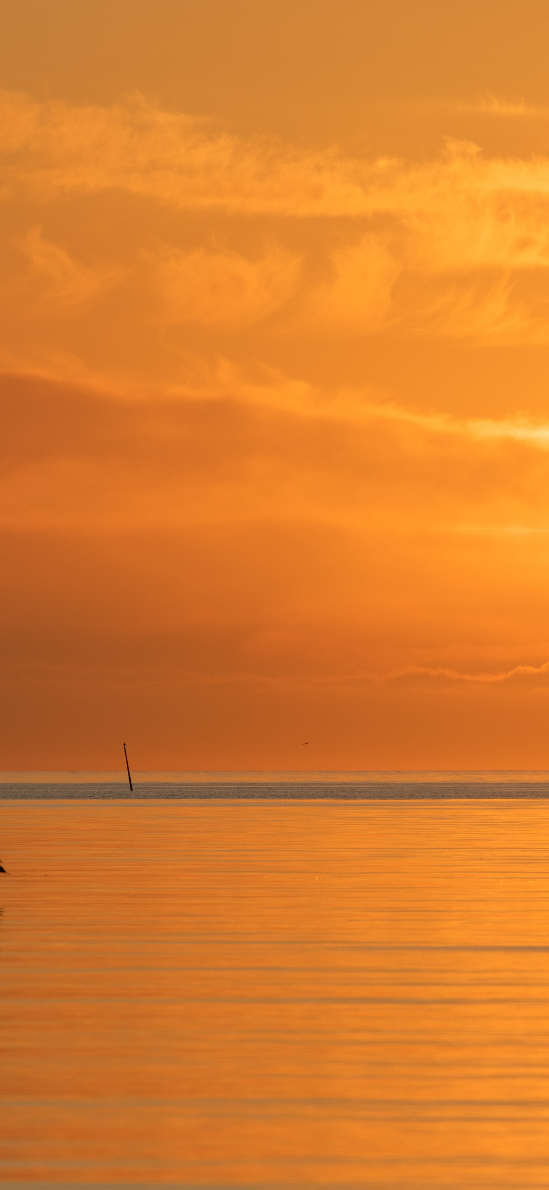 大海, 冷静, 余辉, 日出, 晚上 壁纸 1125x2436 允许