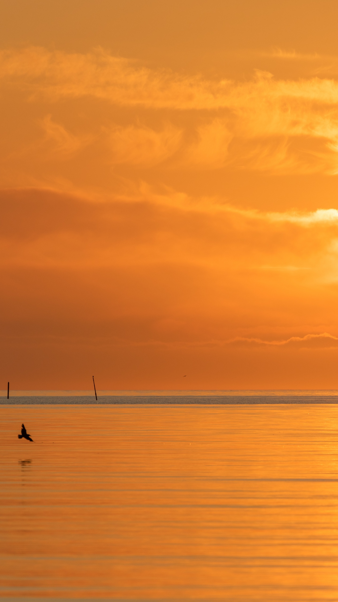 Mar, Calma, Afterglow, Noche, Puesta. Wallpaper in 1440x2560 Resolution