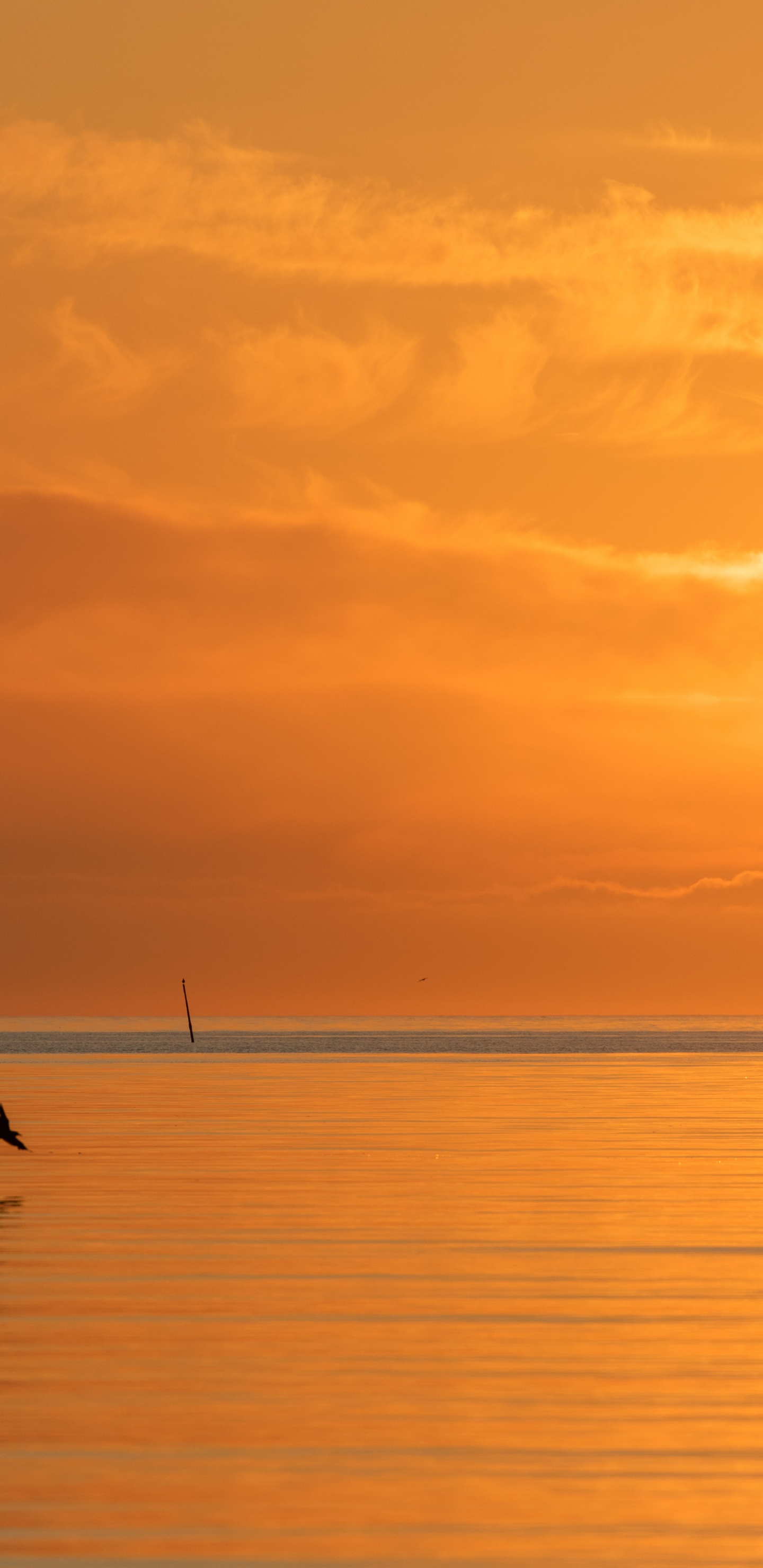 Meer, Ruhe, Afterglow, Sonnenaufgang, Abend. Wallpaper in 1440x2960 Resolution