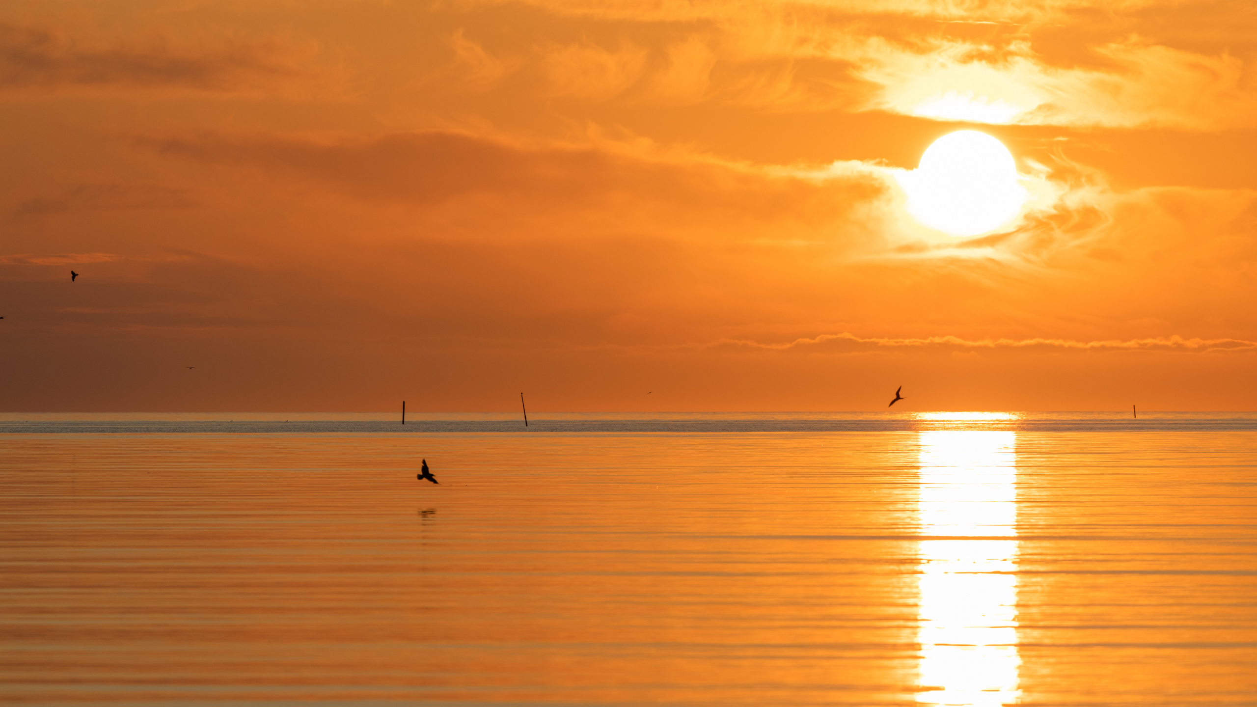 Meer, Ruhe, Afterglow, Sonnenaufgang, Abend. Wallpaper in 2560x1440 Resolution