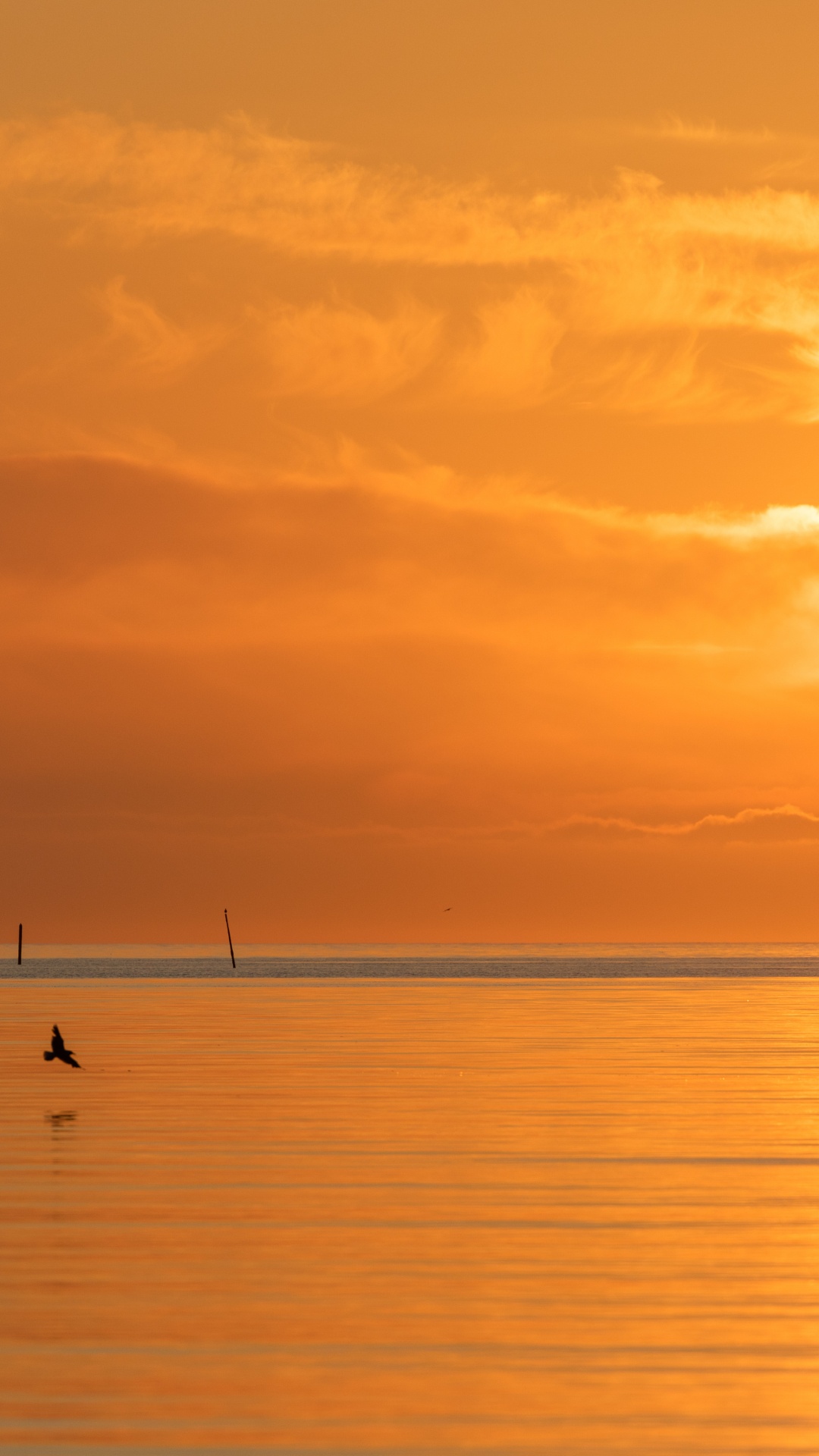 Mer, Calme, Afterglow, Lever, Soir. Wallpaper in 1080x1920 Resolution