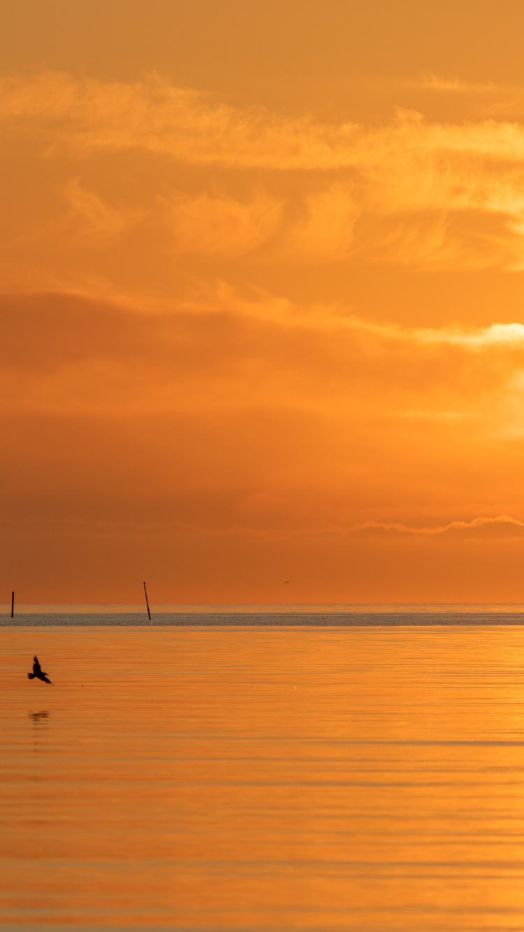 Sea, Calm, Afterglow, Sunrise, Evening. Wallpaper in 750x1334 Resolution