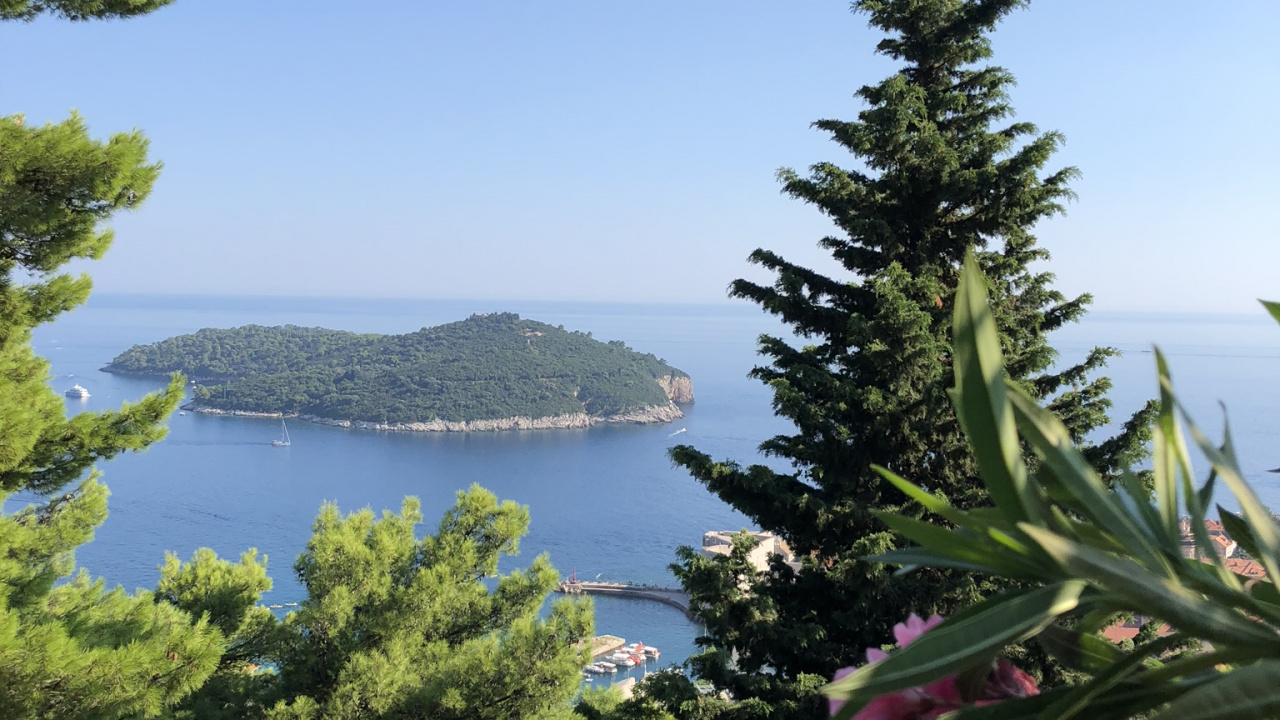 la Vegetación, Montaje de Escenografía, Biología, Ciencia, Paisaje Natural. Wallpaper in 1280x720 Resolution