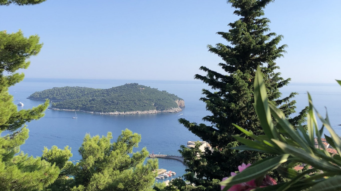 Vegetation, Mount Scenery, Biologie, Wissenschaft, Naturlandschaft. Wallpaper in 1366x768 Resolution