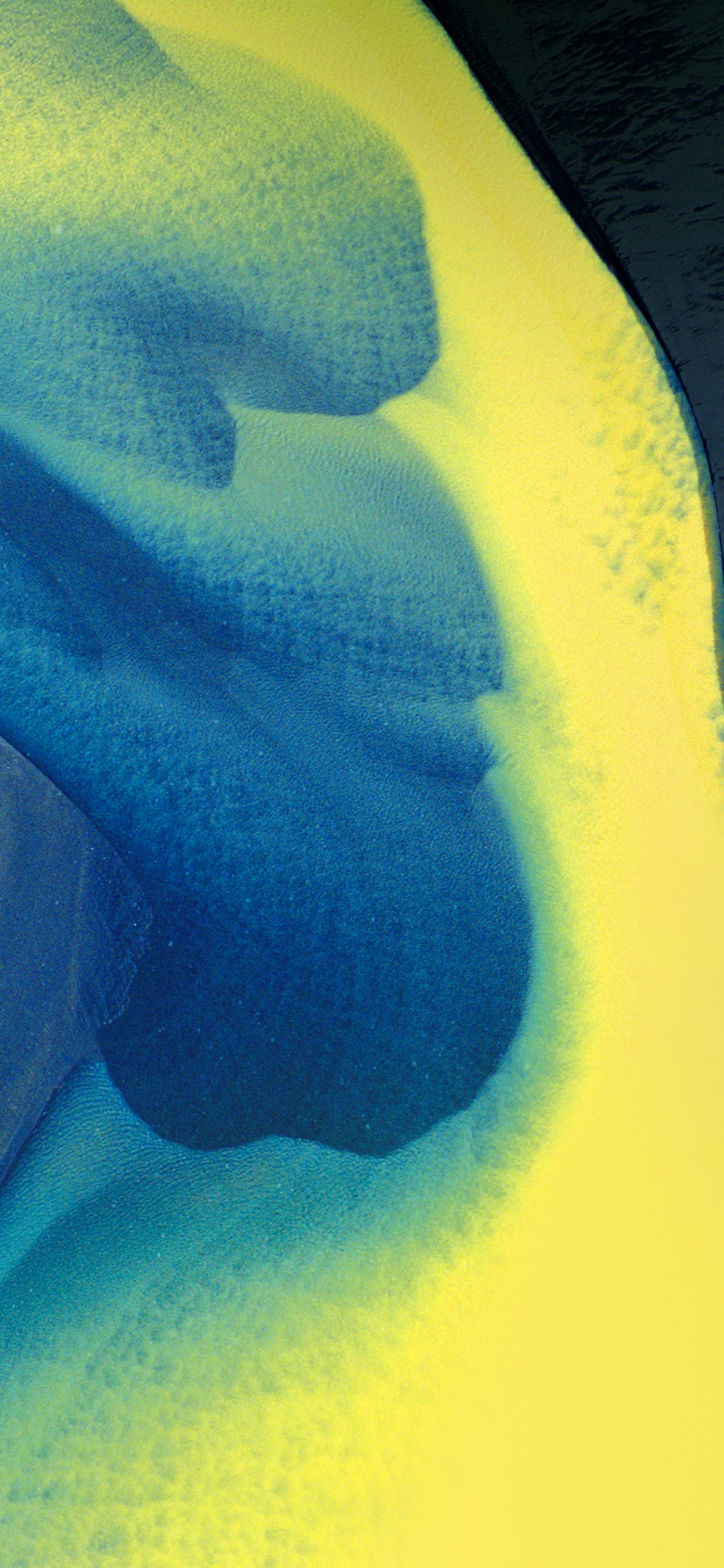 Peinture Abstraite Blanche et Bleue. Wallpaper in 1125x2436 Resolution