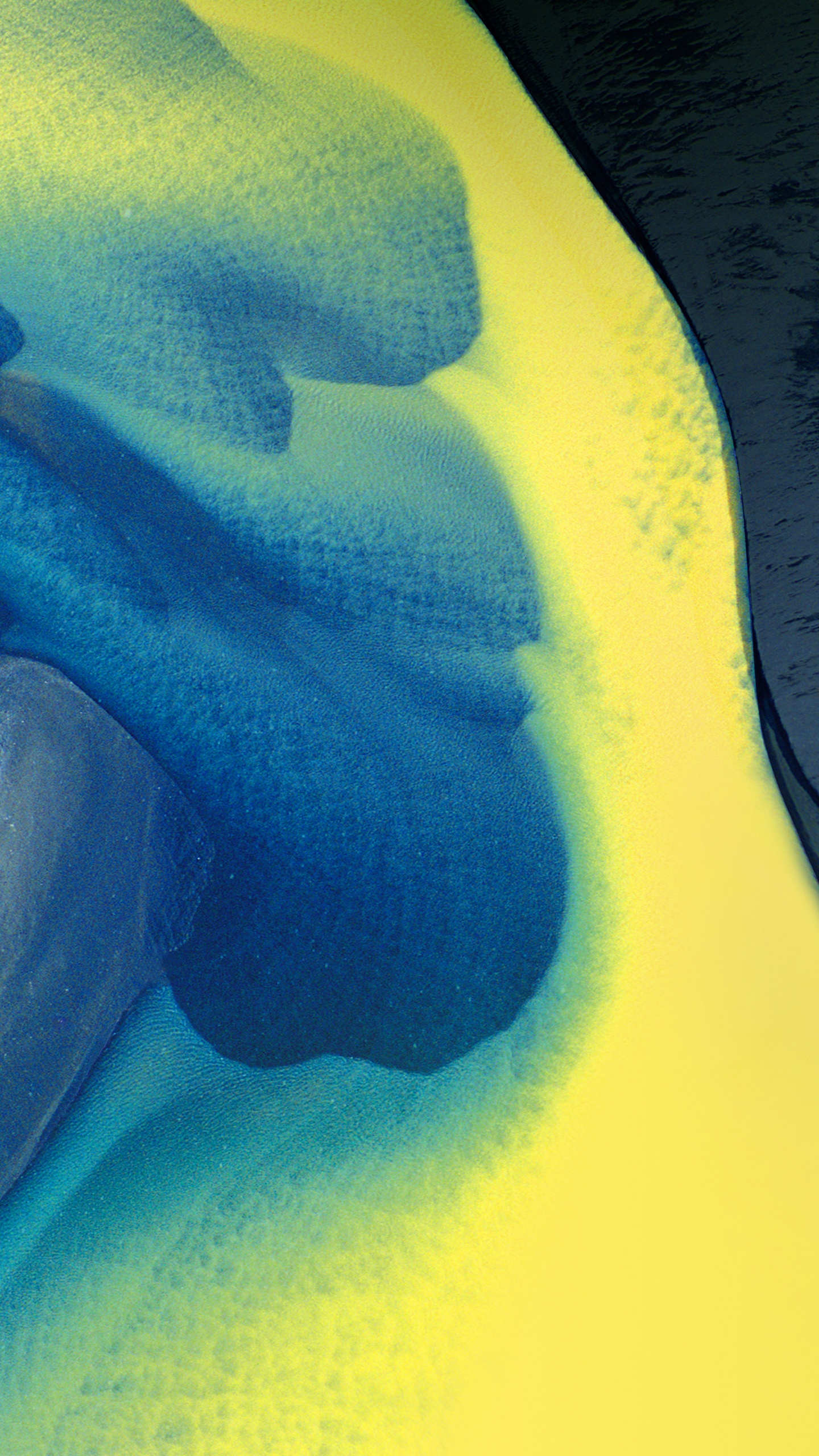 Peinture Abstraite Blanche et Bleue. Wallpaper in 1440x2560 Resolution