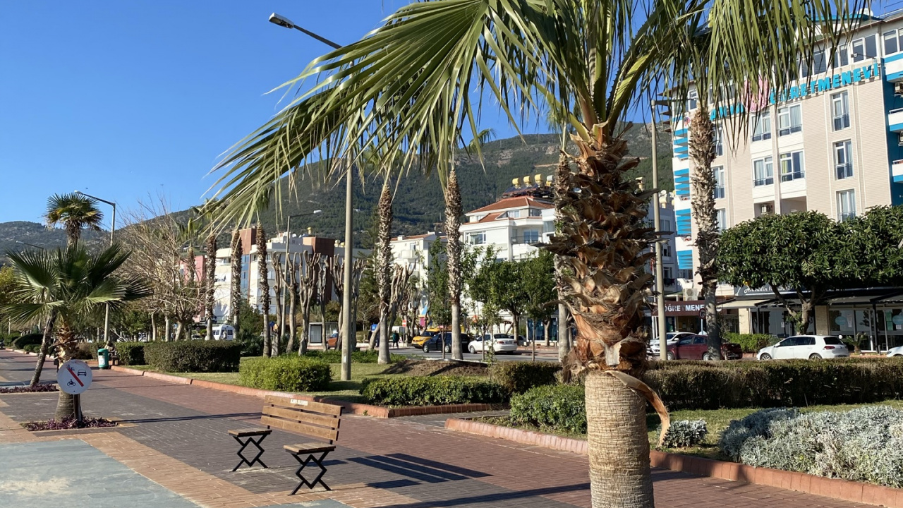 Palmera, Fecha de la Palma, Azure, Edificio, Planta Terrestre. Wallpaper in 1280x720 Resolution