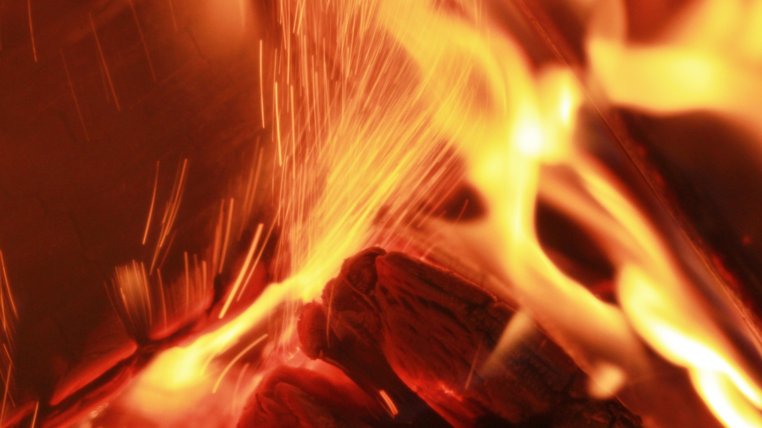 Feu Rouge et Jaune en Photographie Rapprochée. Wallpaper in 2560x1440 Resolution