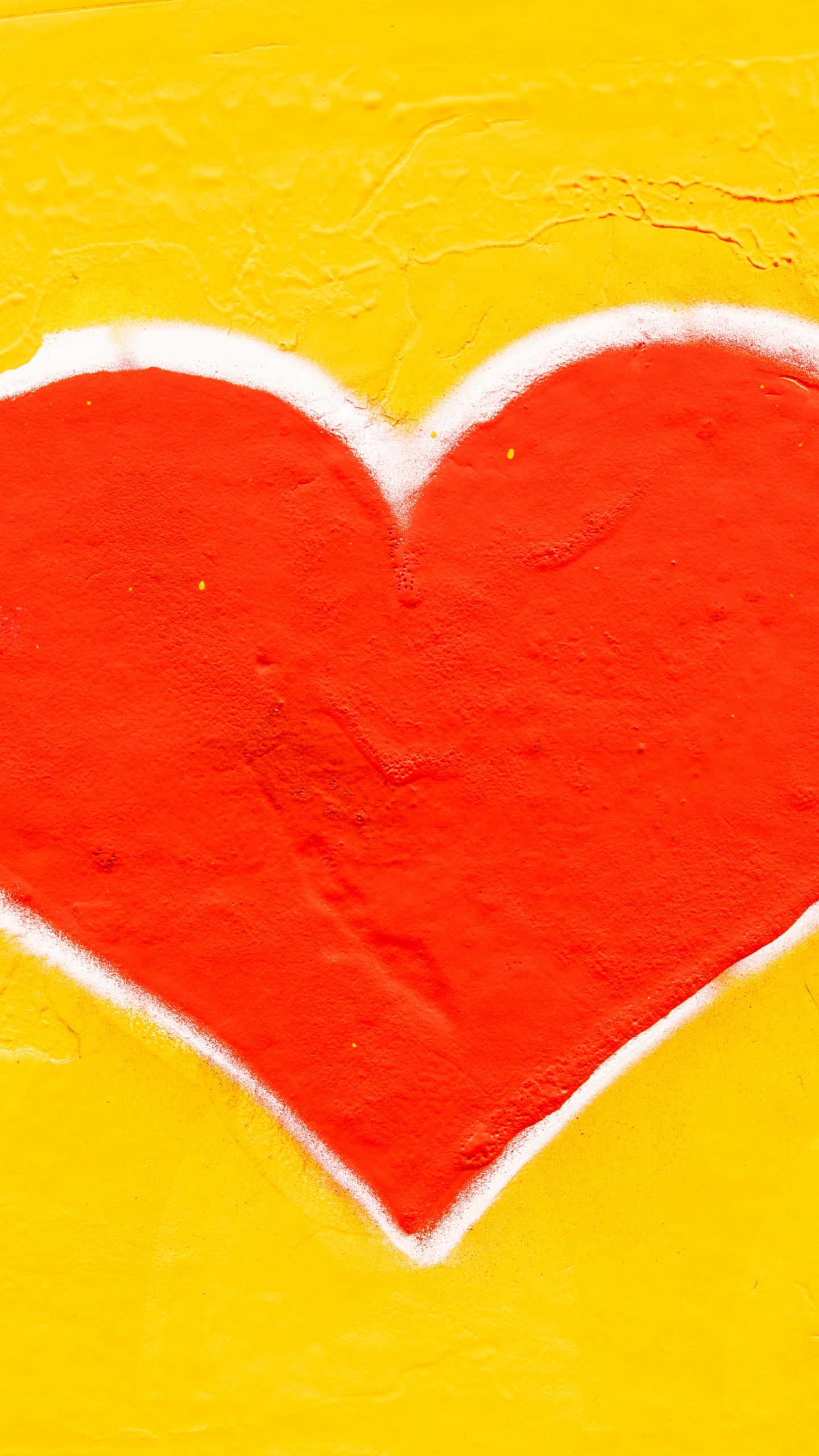 Cœur, Santé Cardiaque, Maladie Cardiovasculaire, Cardiaque, Corps Humain. Wallpaper in 1440x2560 Resolution