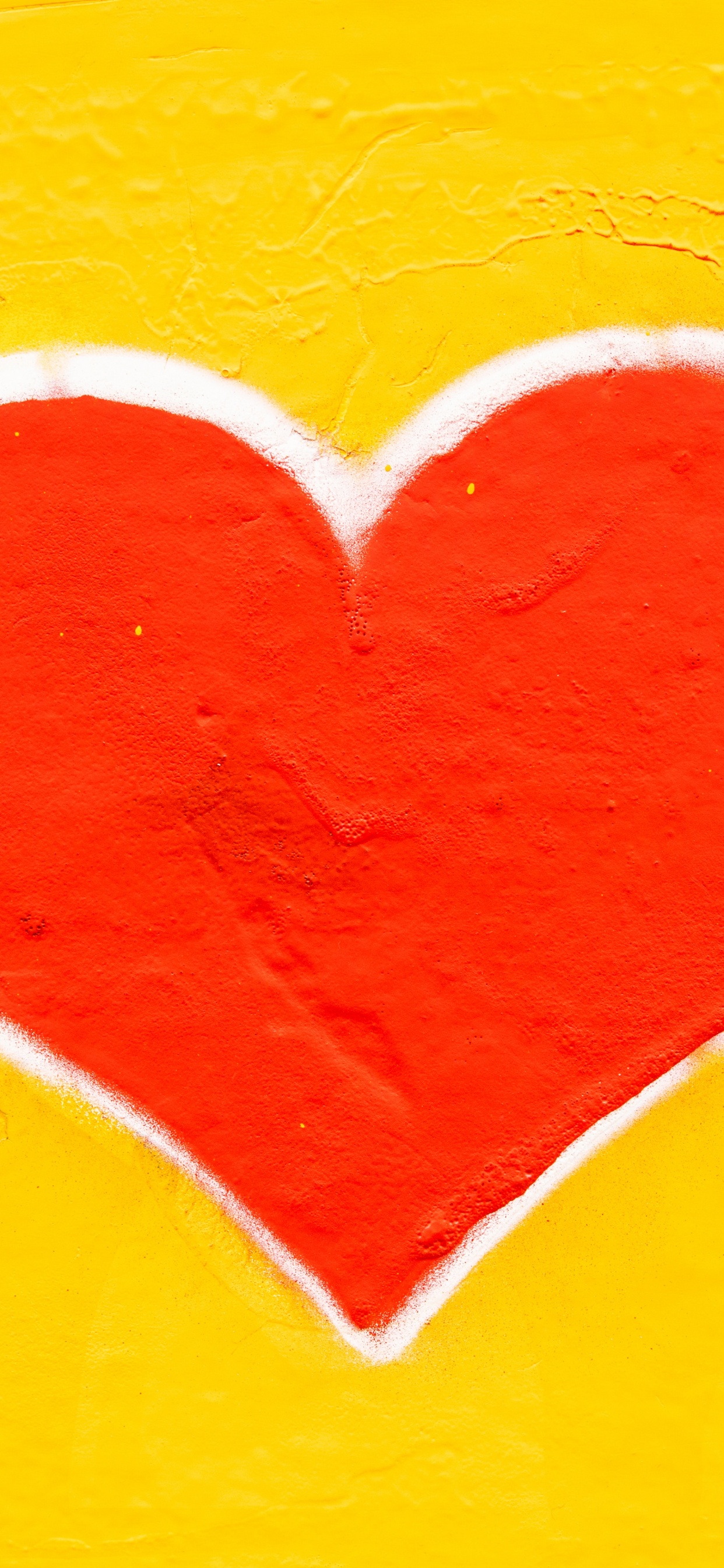 Coraz, la Salud Del Corazón, Enfermedad Cardiovascular, Infarto, Cuerpo Humano. Wallpaper in 1242x2688 Resolution